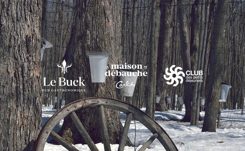 cabane-3-logos.jpg