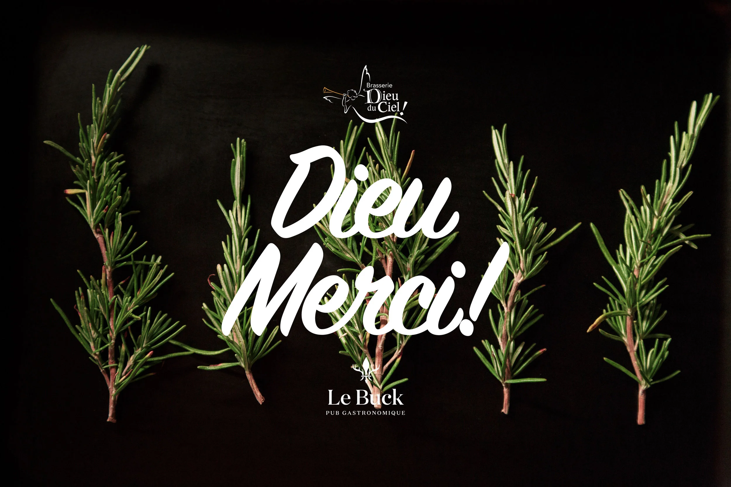 🍺 Dieu Merci! 🍺 C'est le nom de notre bière collaborative de Blé au romarin et citronnelle avec la Brasserie Dieu du Ciel . Pour nos 3 ans, on ne pouvait demander mieux comme cadeau ! Il y a tellement d’avenues à explorer avec les bières de blé. Brassée avec du malt d’orge et de blé, fermentée avec notre levure de blanche, le classique duo écorce orange et graines de coriandre a été remplacé par des tiges de citronnelle et du romarin frais. Blonde voilée aux notes légèrement fruitées et épicées, arôme discrètement citronné au parfum de romarin, sa finale légèrement amère lui donne des notes de Saison.
