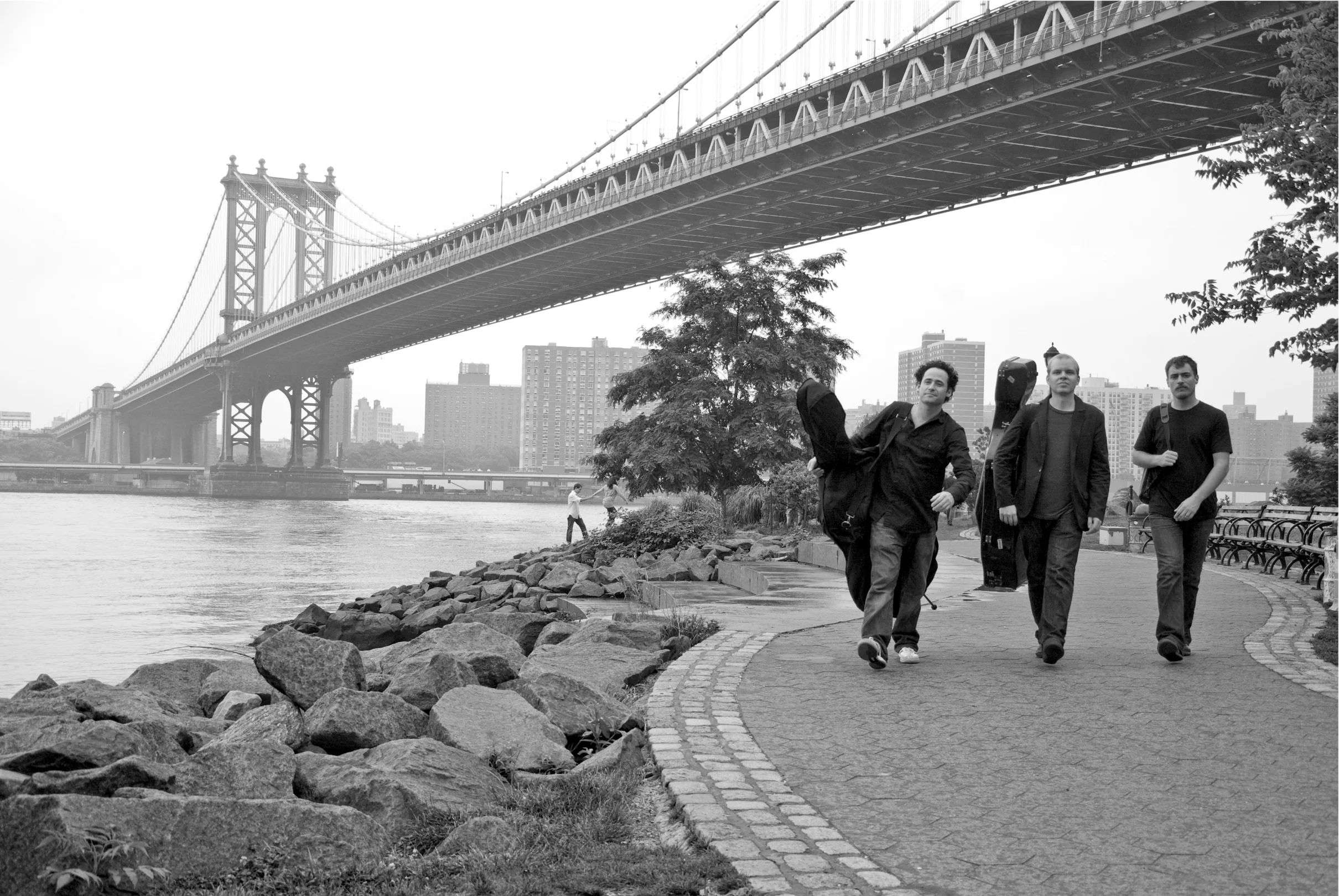 The Promise of Schoenberg's Scatter