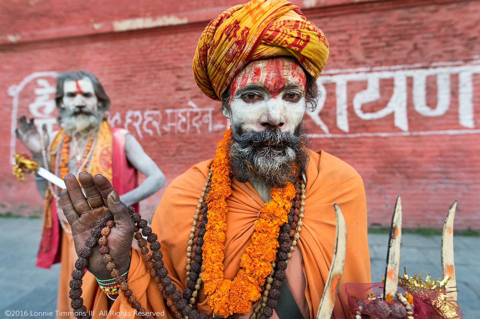 Shivaratri Sadhus