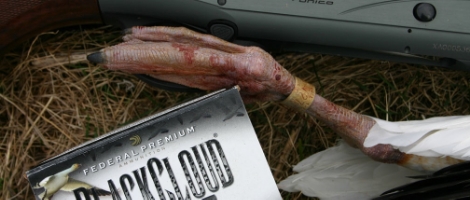 12 GAUGE VERSUS 20 GAUGE DUCK HUNTING Is there a new duck hunting shotgun in your future? Perhaps you’re trying to decide on the right “first” duck gun for a lucky new hunter. Or, perhaps, you adhere to the golf bag approach to firearms ownership, seeking the “perfect” shotgun for each hunting situation.