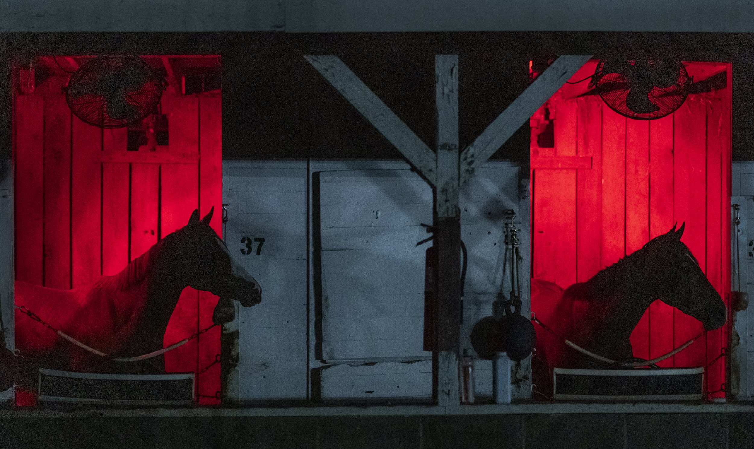 2016-30 Derby Backside PM2.jpg