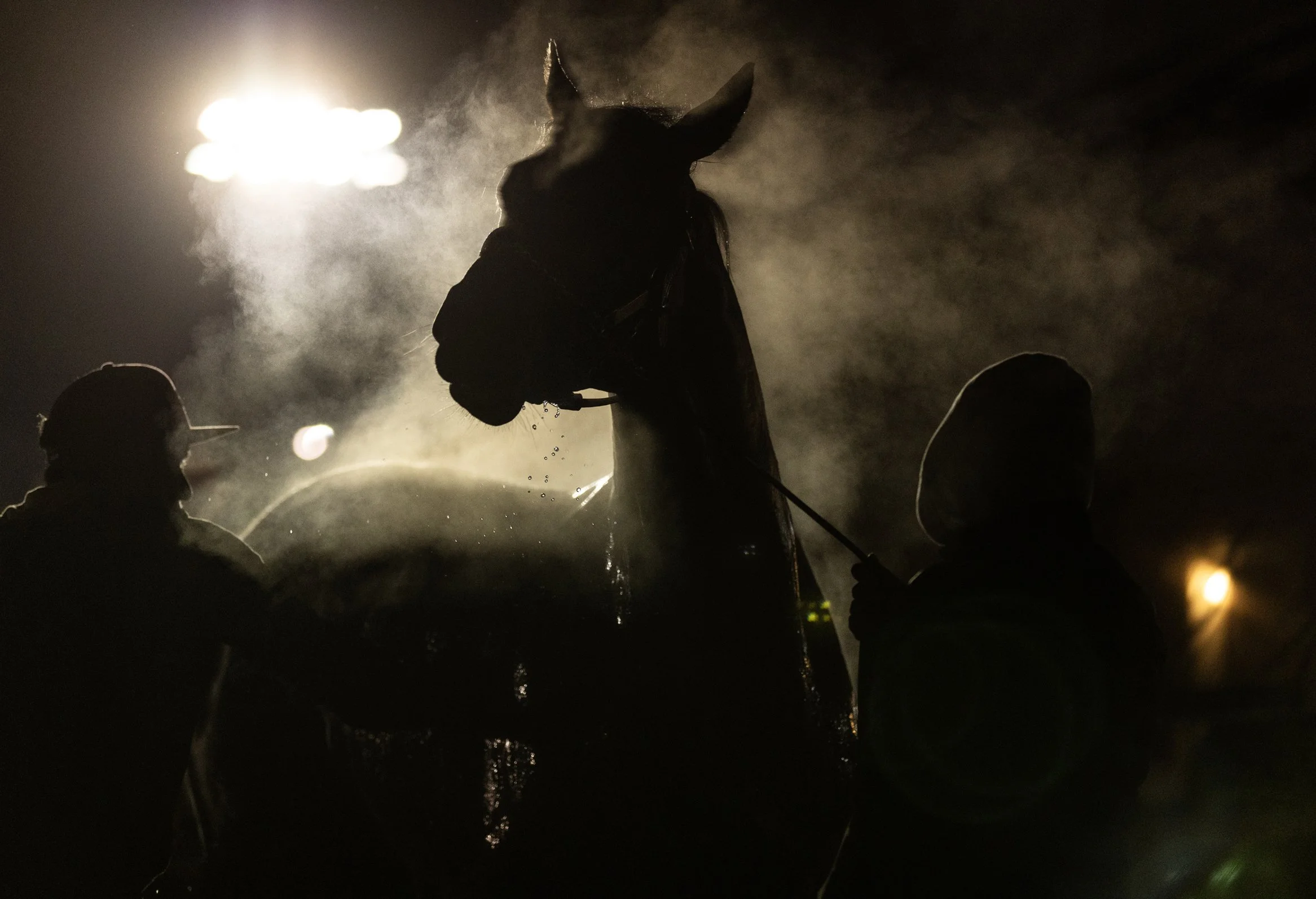 Derby backside PM39.jpg