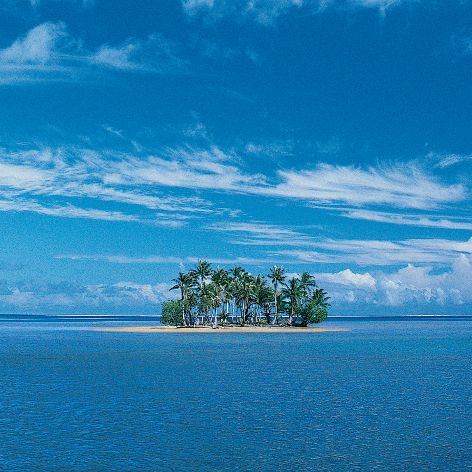Looking For Fantasy Island?