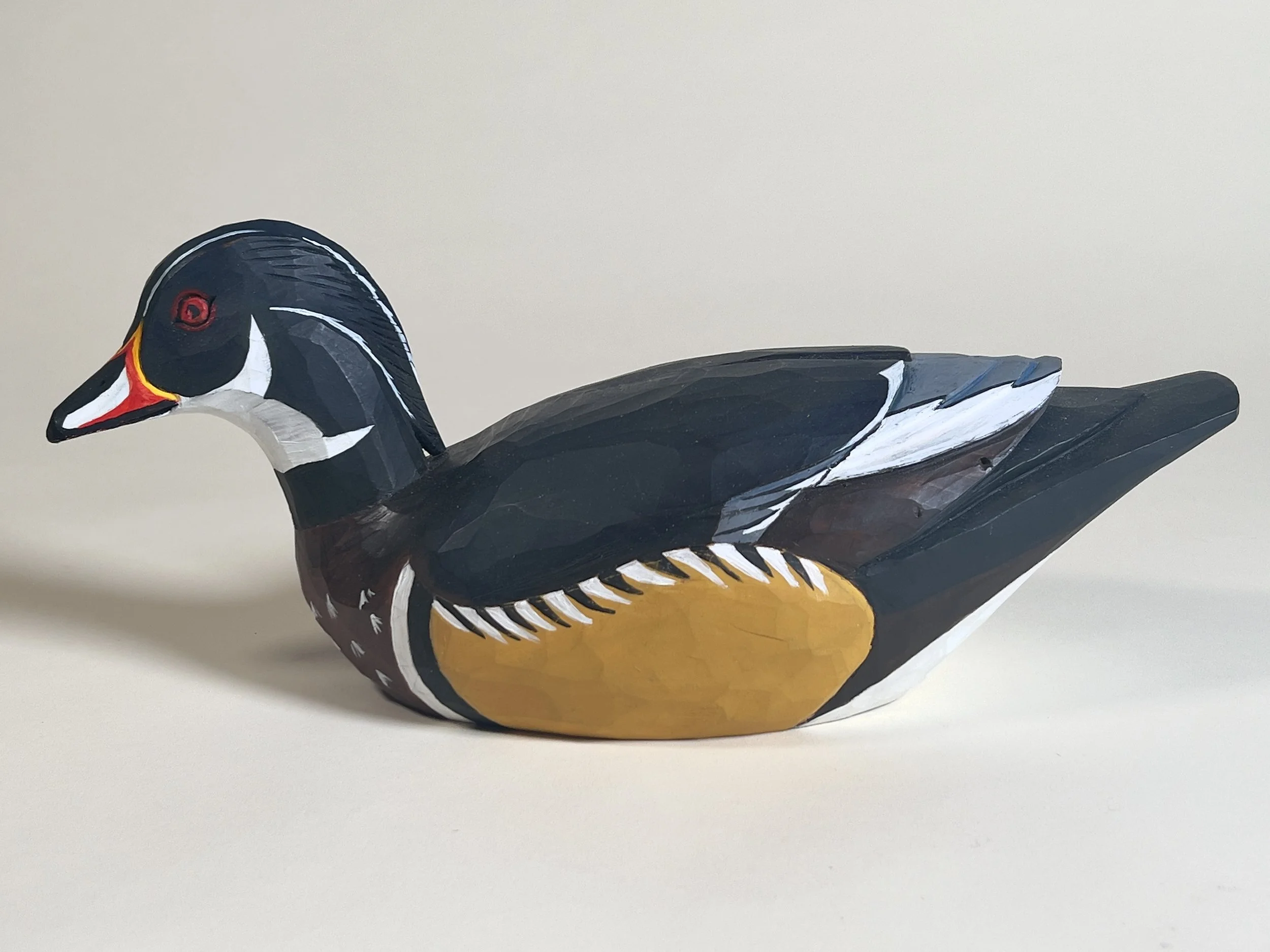 Wood duck