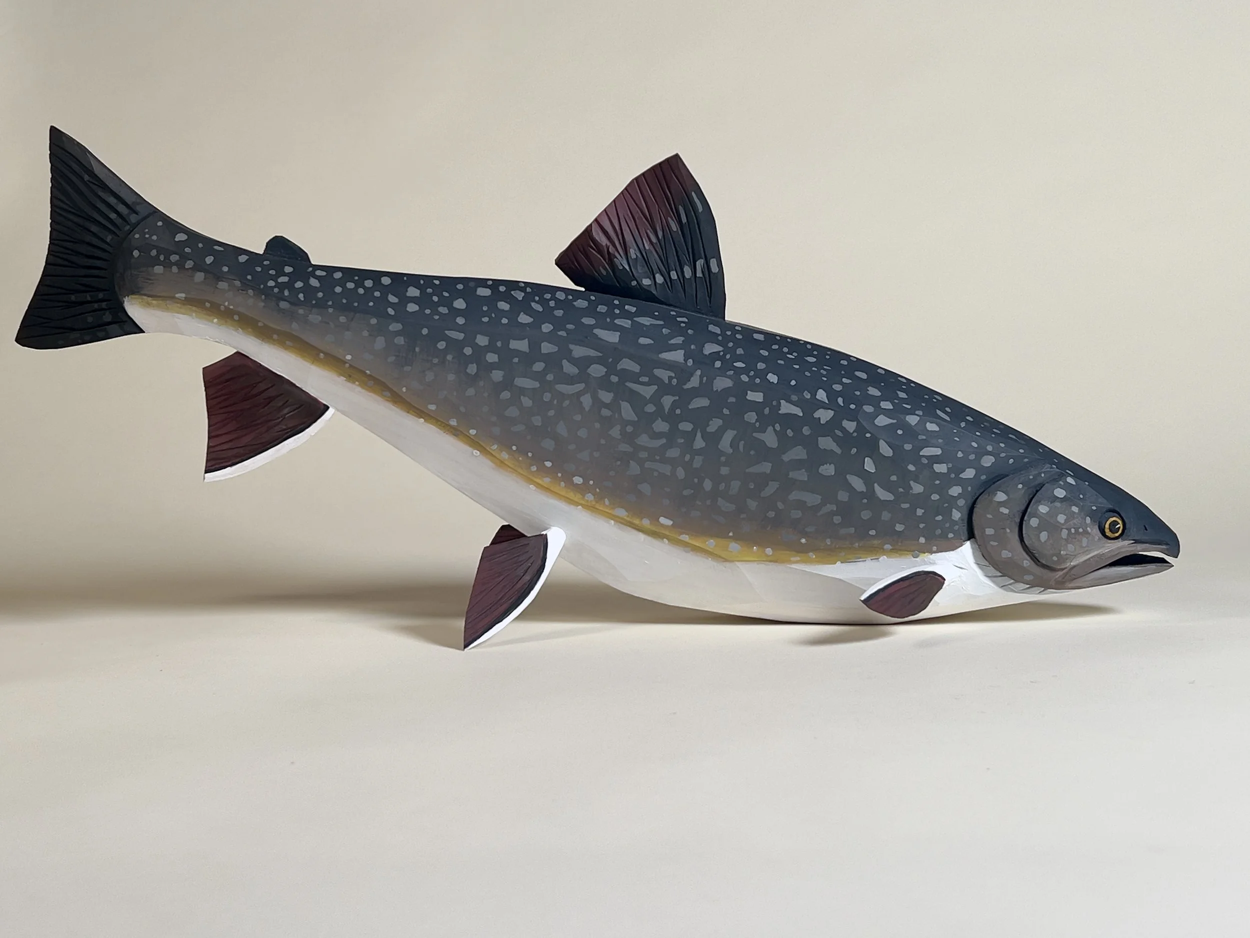 Sicowet lake trout