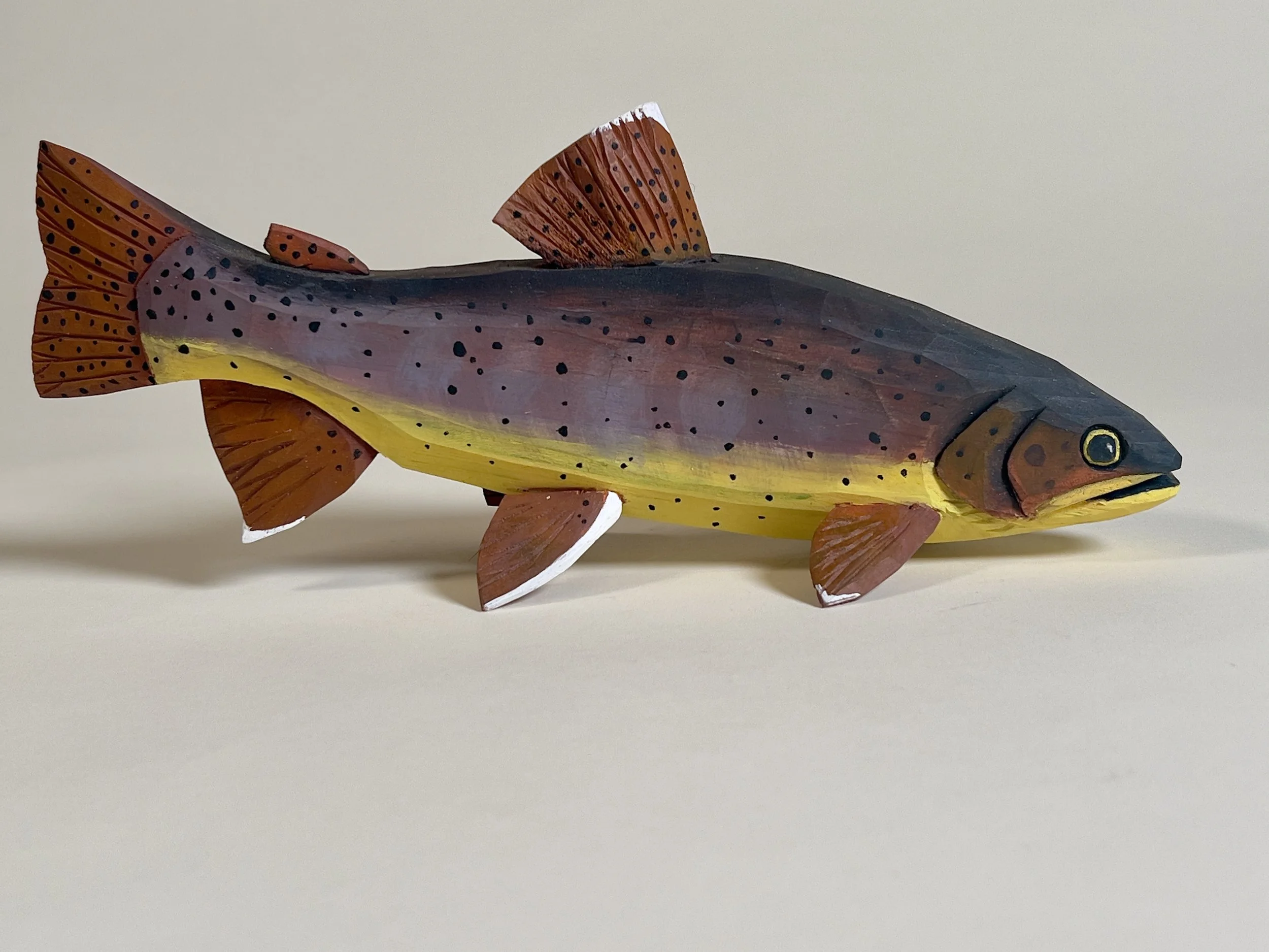 Apache trout