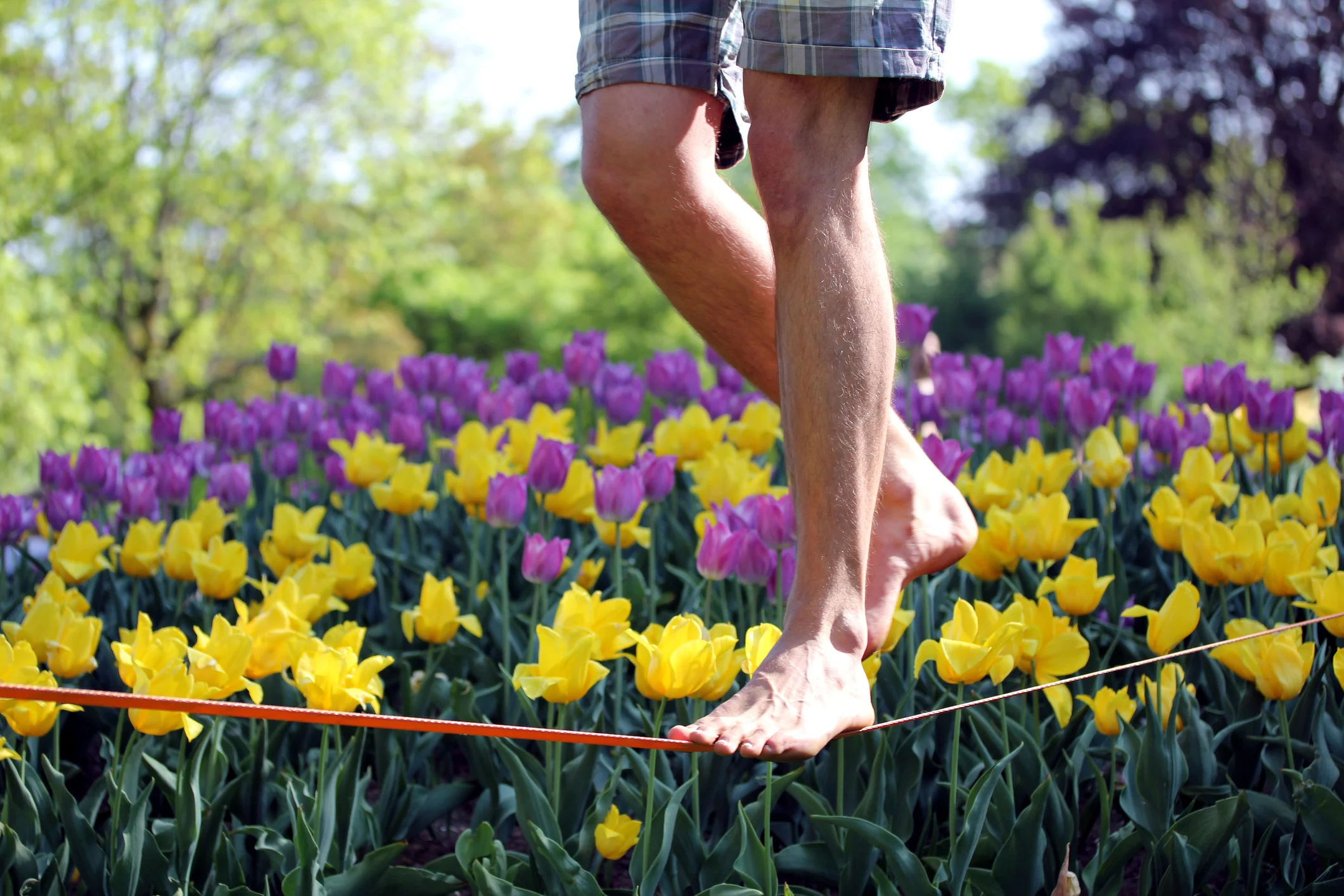 Photo by Teka77/iStock / Getty Images