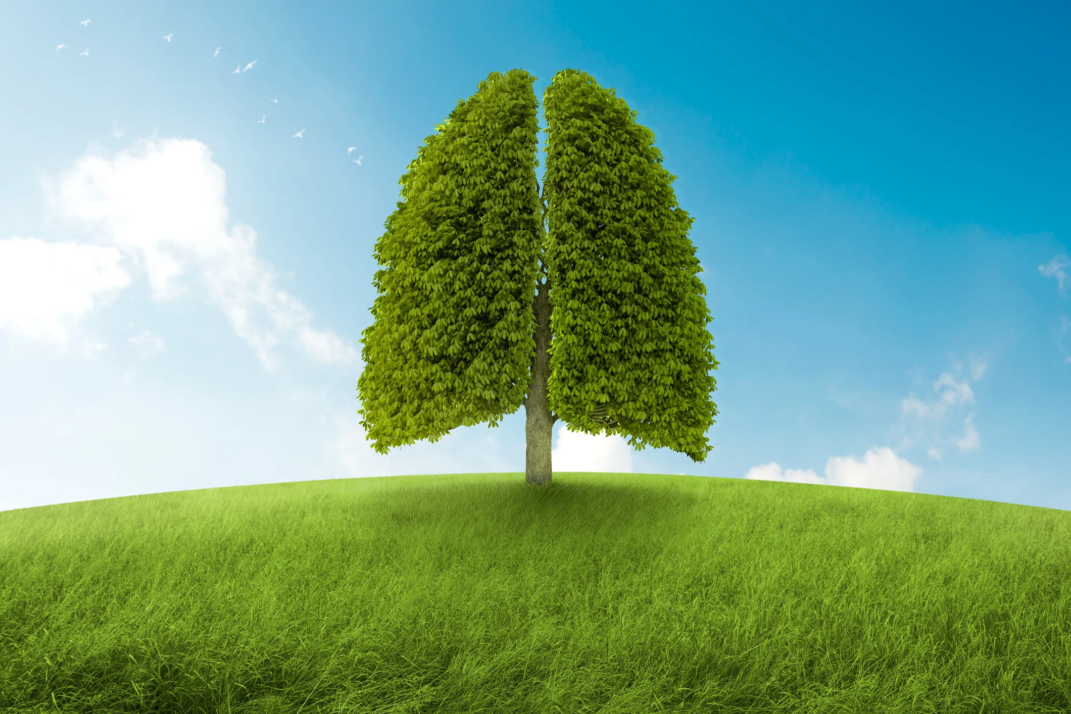 iStock-178703657.jpg