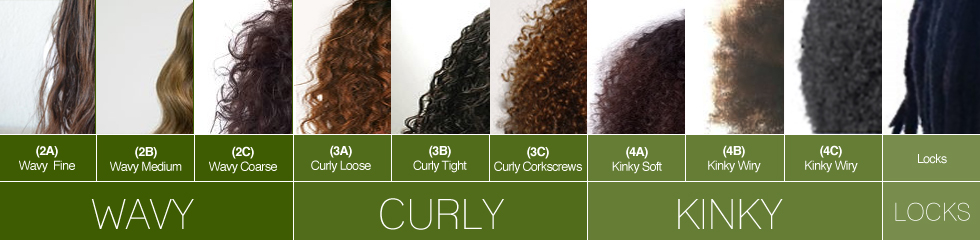 Curl Chart