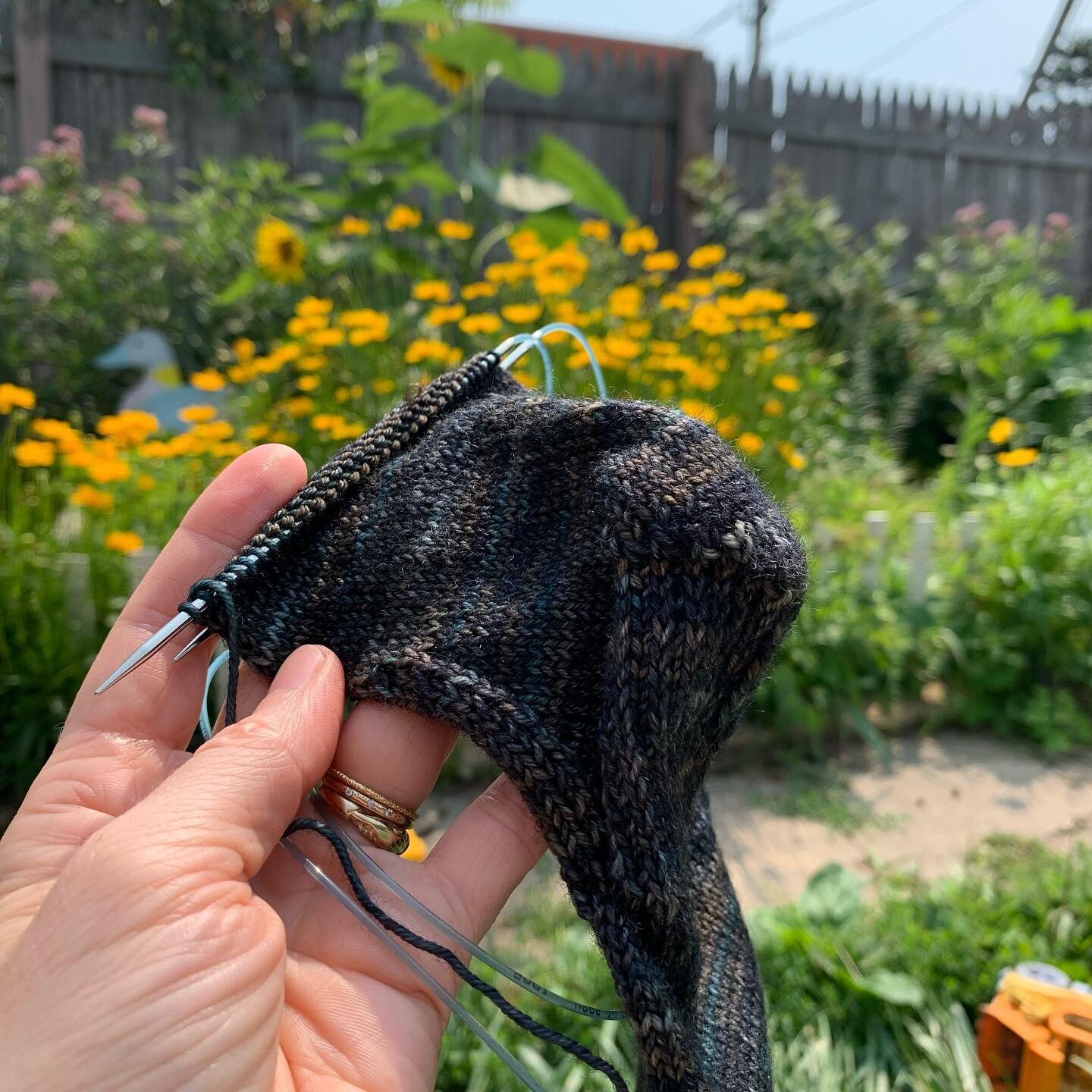 A heel turn and a quiet moment in the garden. 😌🌻 Yes, I&rsquo;m still knitting socks! Just at a much slower pace. 💛
.
.
.
.
#sockknitting #ewetopia #heelturn #knitting #backyardgarden #summer