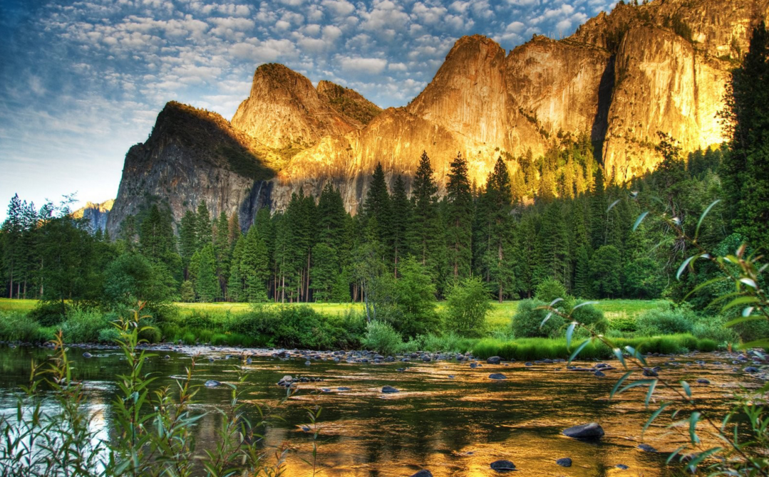 Screen Shot 2015-11-08 at 3.50.03 PM.png