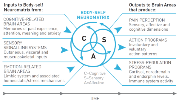 Figure 4 : The Neuromatrix Theory of Pain. Adapted from Fig. 1 in Melzack (2001).