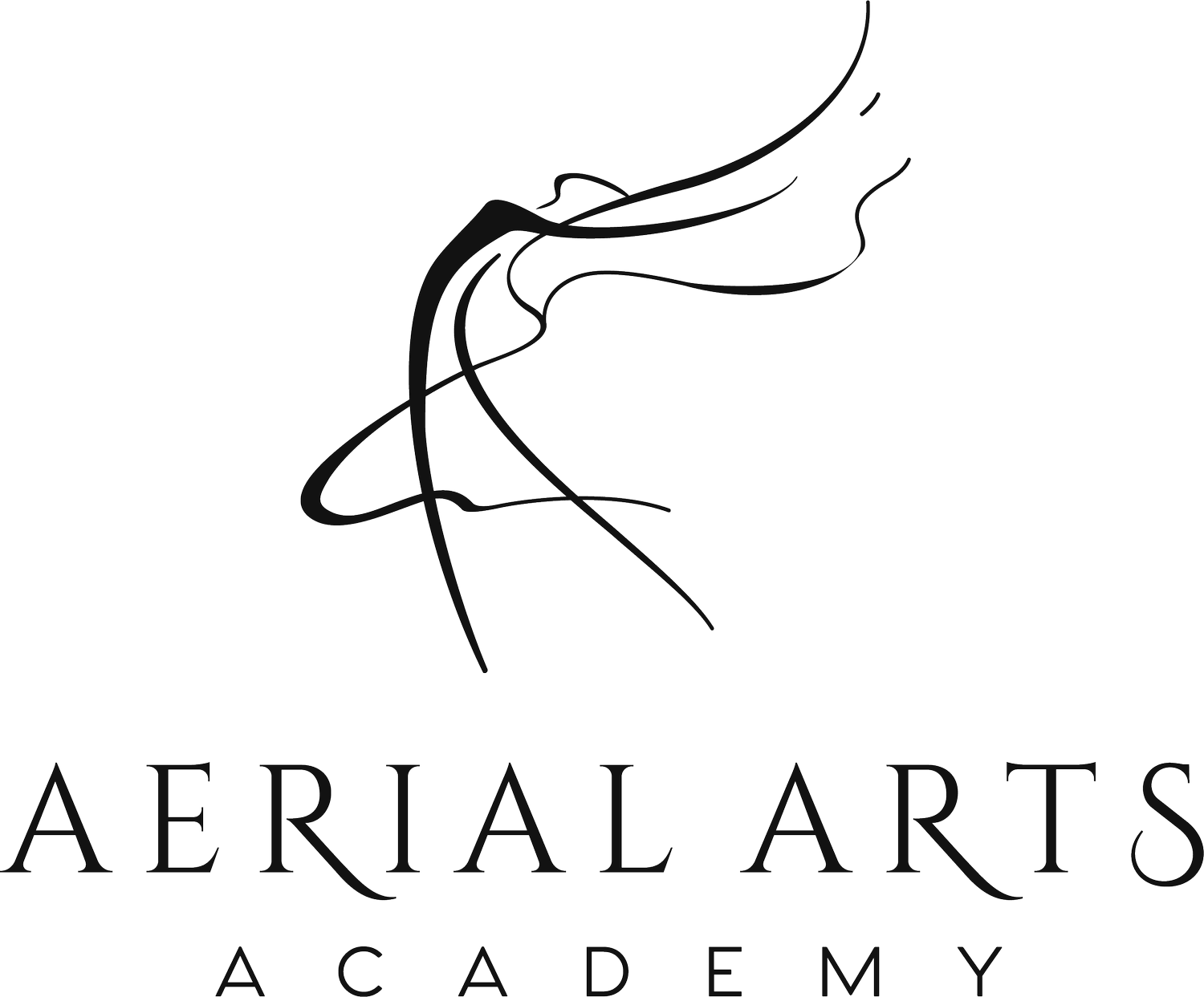 Aerial Arts Academy