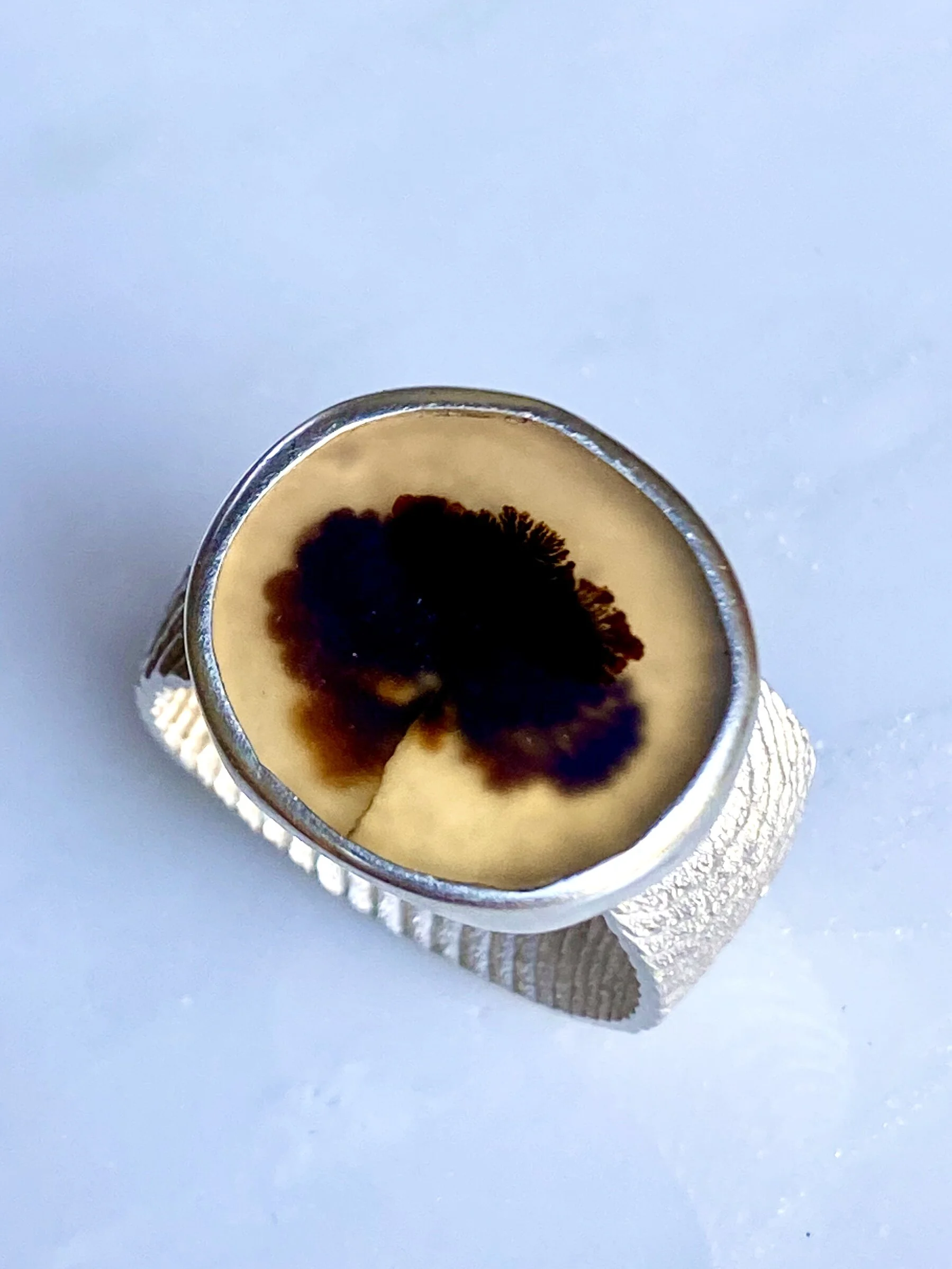 Large dendritic agate 3.3.JPG