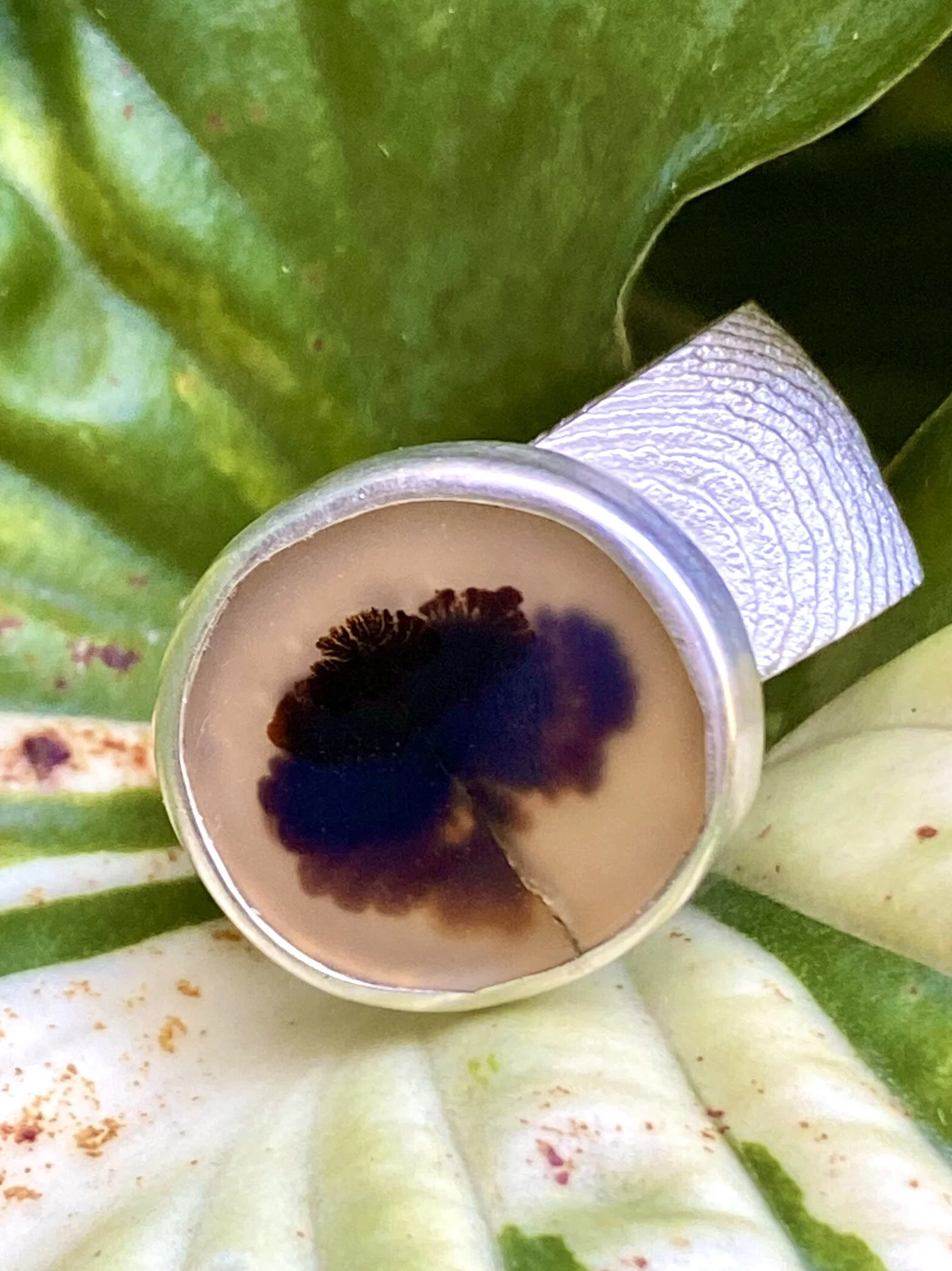 Large dendritic agate 3.4.JPG