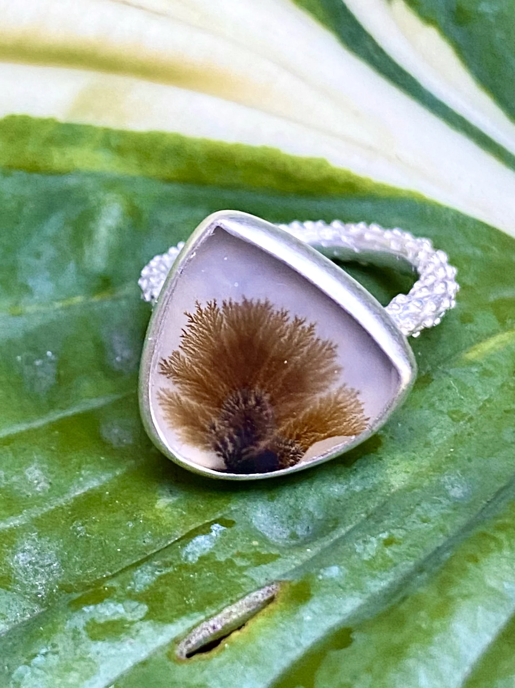 Small dendritic agate 1.5.JPG