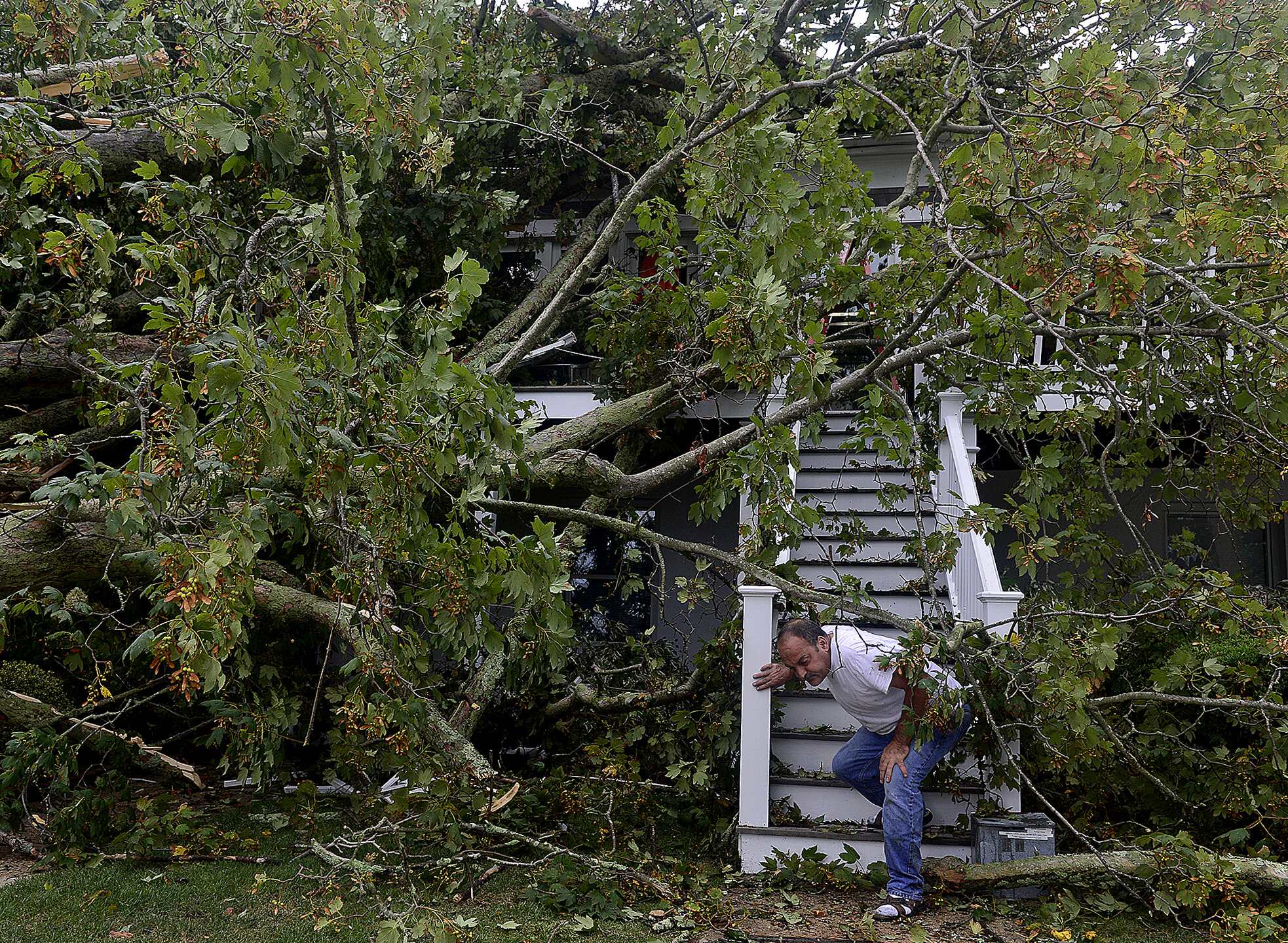  Don Curcuro ducks under a limb as he inspects the damage to his home on Bentley Ave in new London on Wednesday, September 6, 2017, after a storm knocked down a tree that hit his house. Curcuro, who has lived there for 20 years, was home at the time.