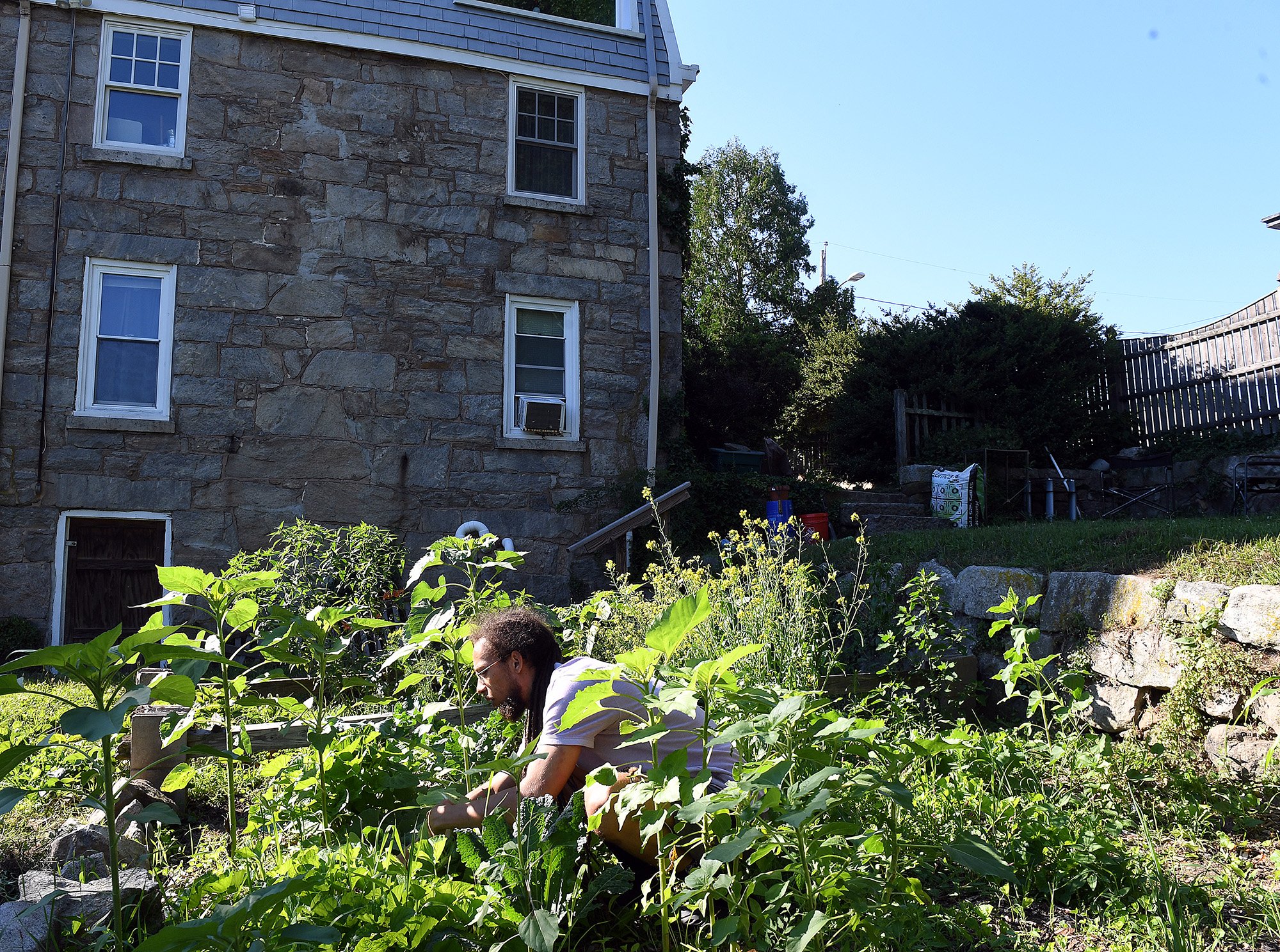  Clayton Potter, a New London native, works on the garden behind the home he owns on Prest Street Wednesday, June 29, 2022. Potter is the first homeowner with a new Southeastern CT Community Land Trust program and is also a landlord, renting out half