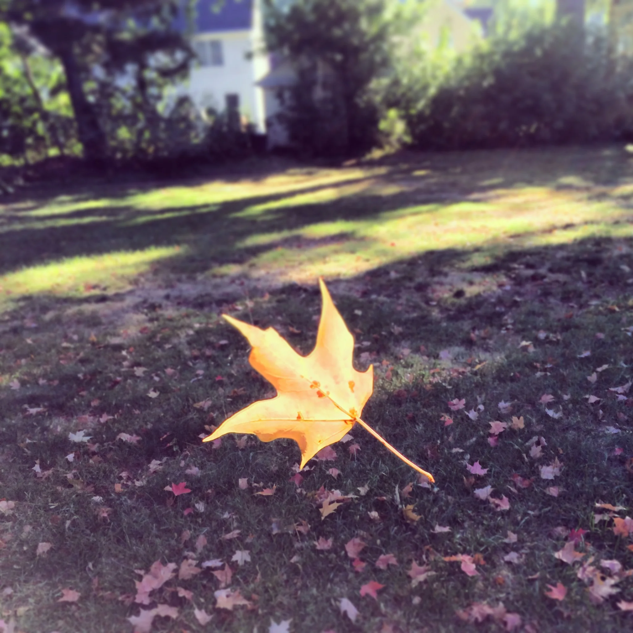 2013-10-01 09.14.26 HDR.jpg