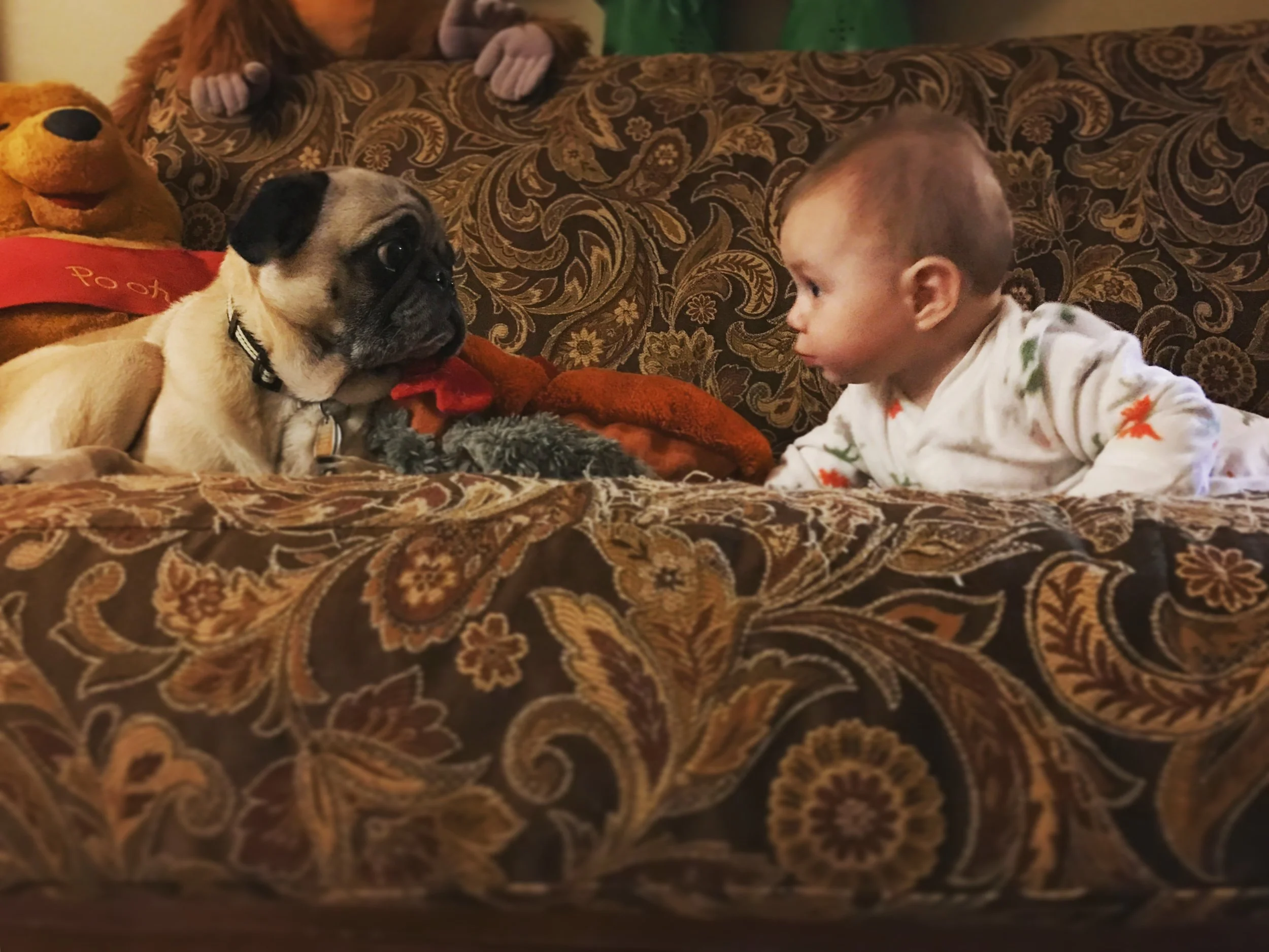 File Feb 06, 5 46 26 PM.jpeg