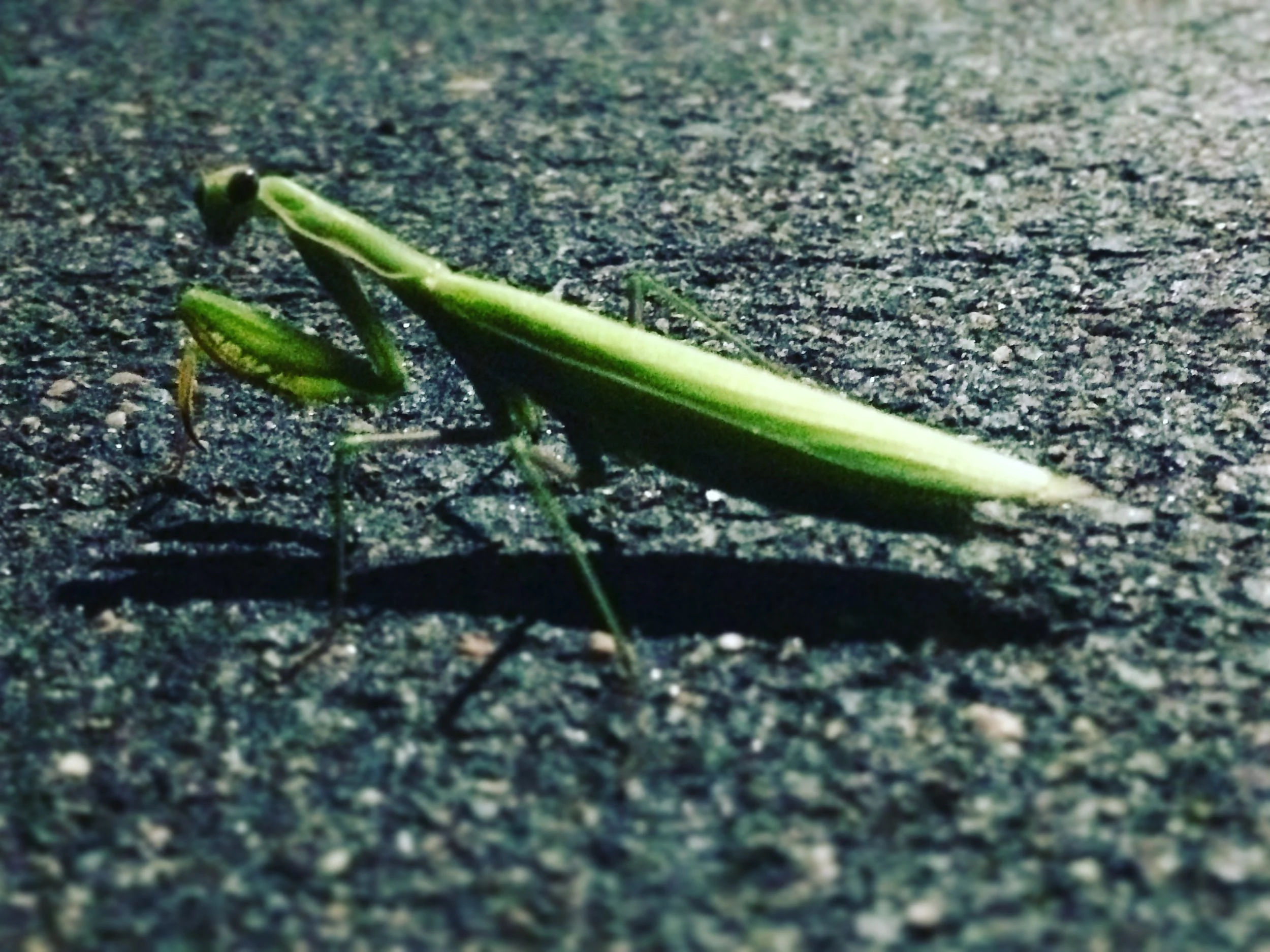 File Feb 06, 5 52 27 PM.jpeg