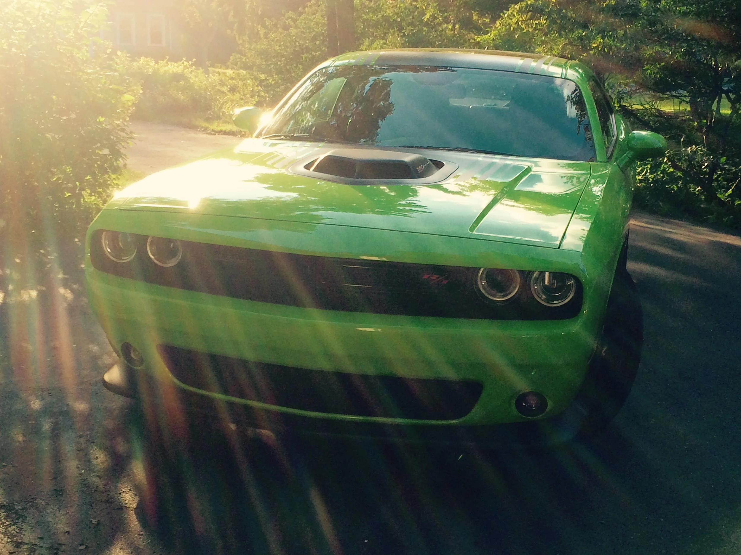 File Feb 06, 5 53 06 PM.jpeg