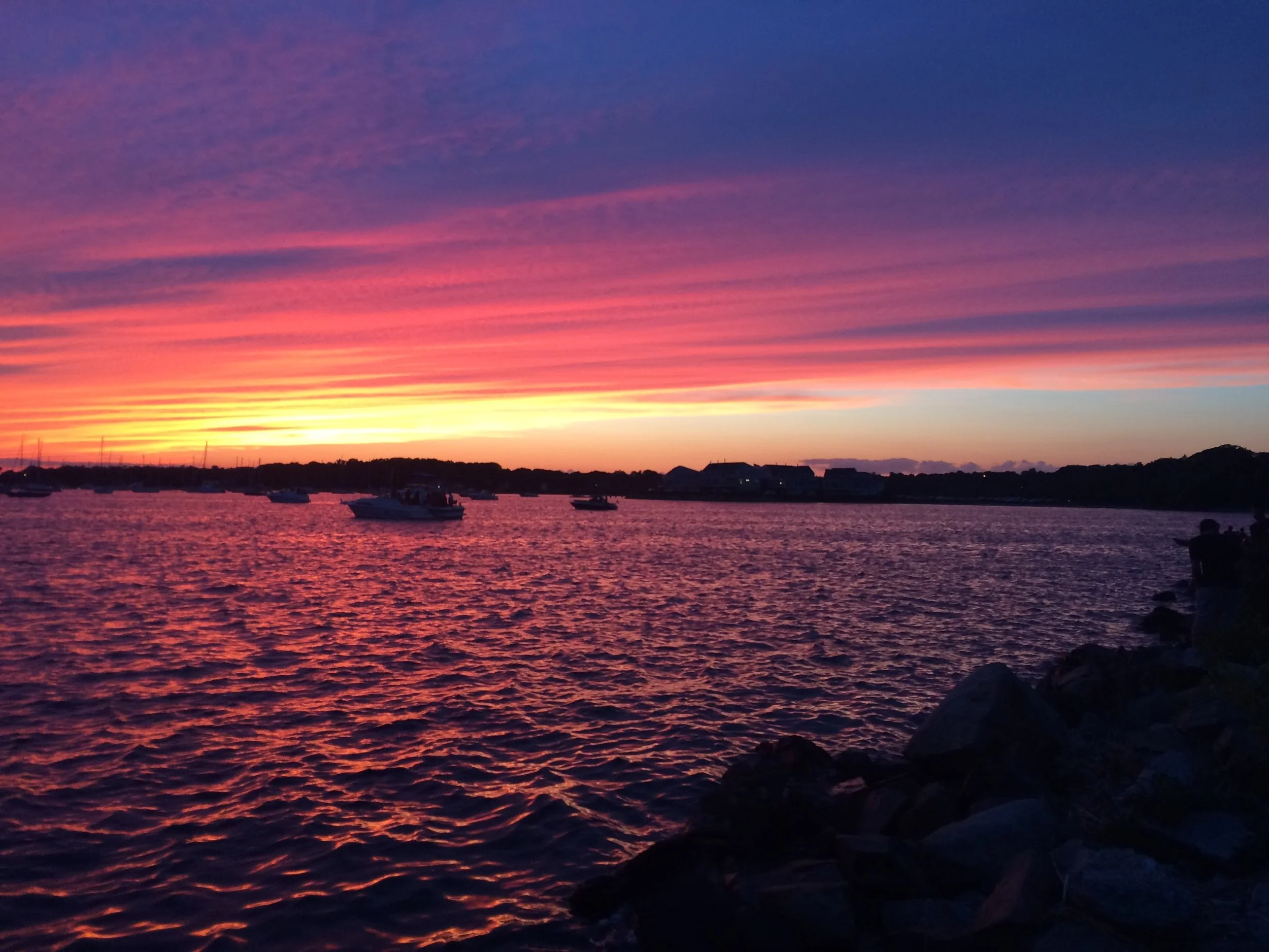 File Feb 06, 5 54 49 PM.jpeg