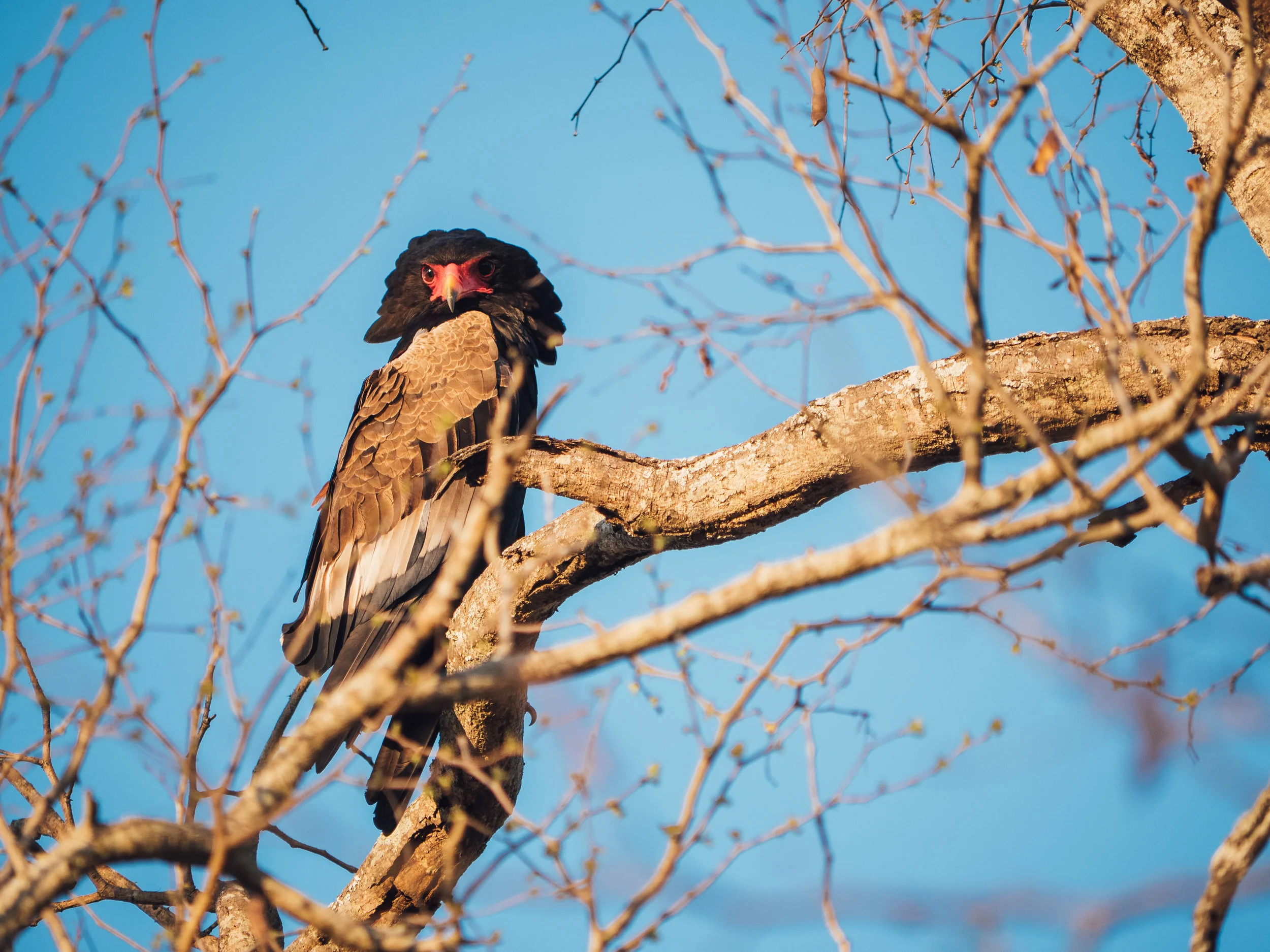 P1090284-2.jpg