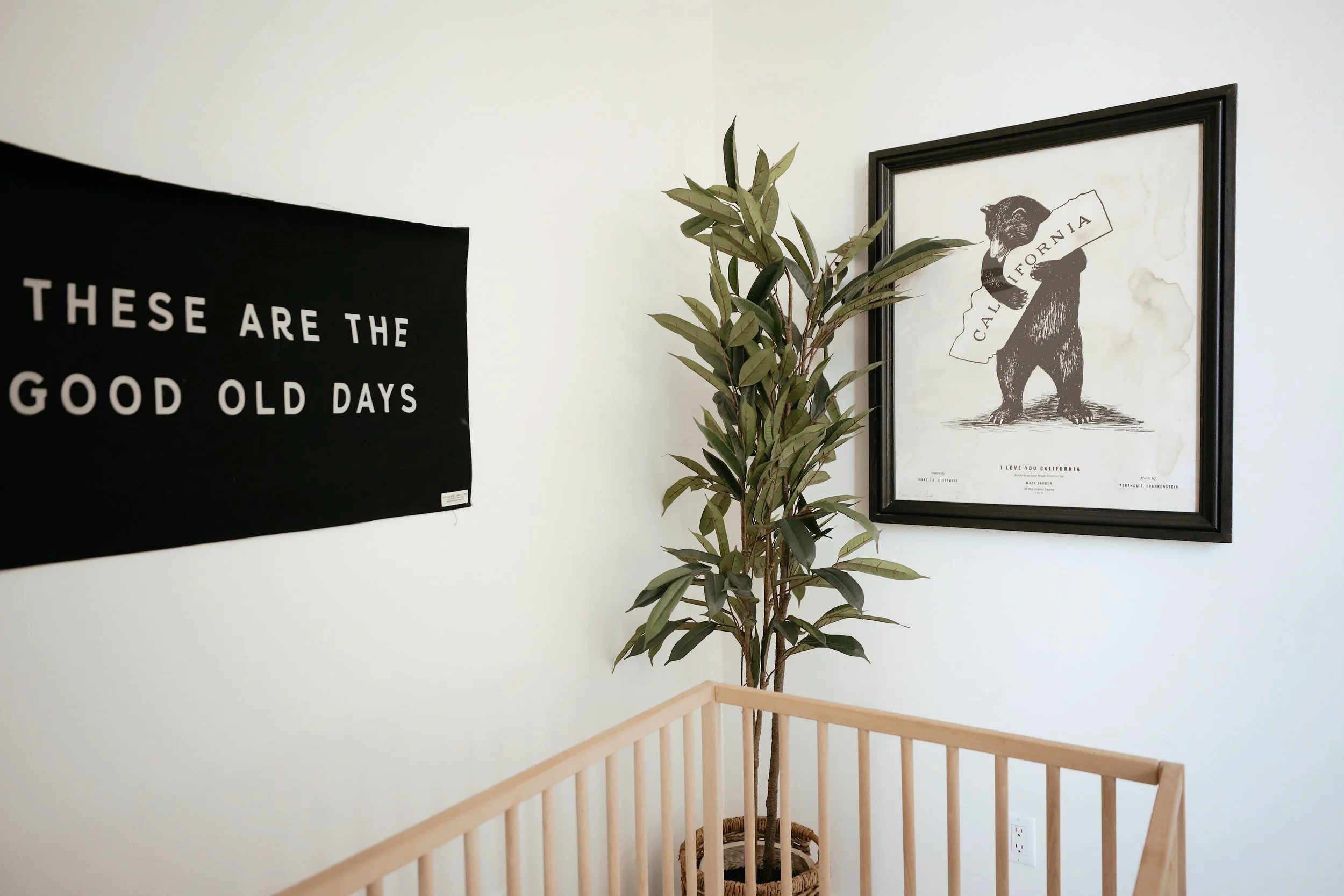 Major_s Nursery_005.JPG
