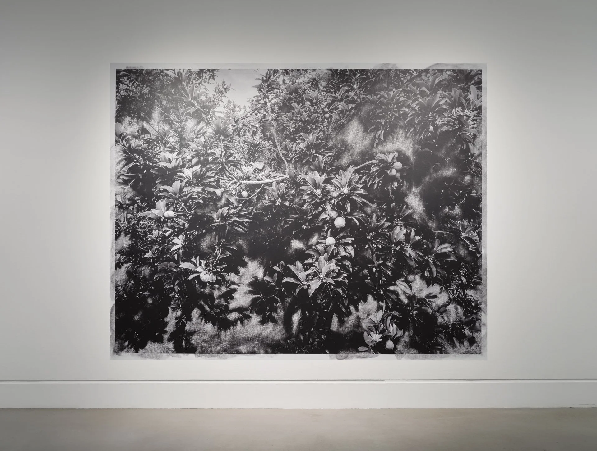 Evergreen_Surface_Shrine_001.jpg