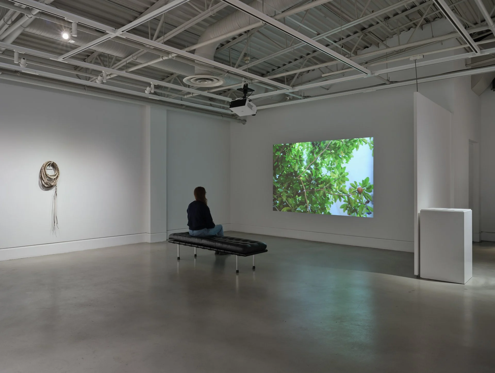 Evergreen_Surface_Shrine_014.jpg