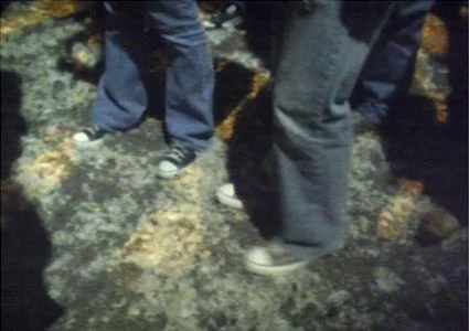 ankle-deep in feathers