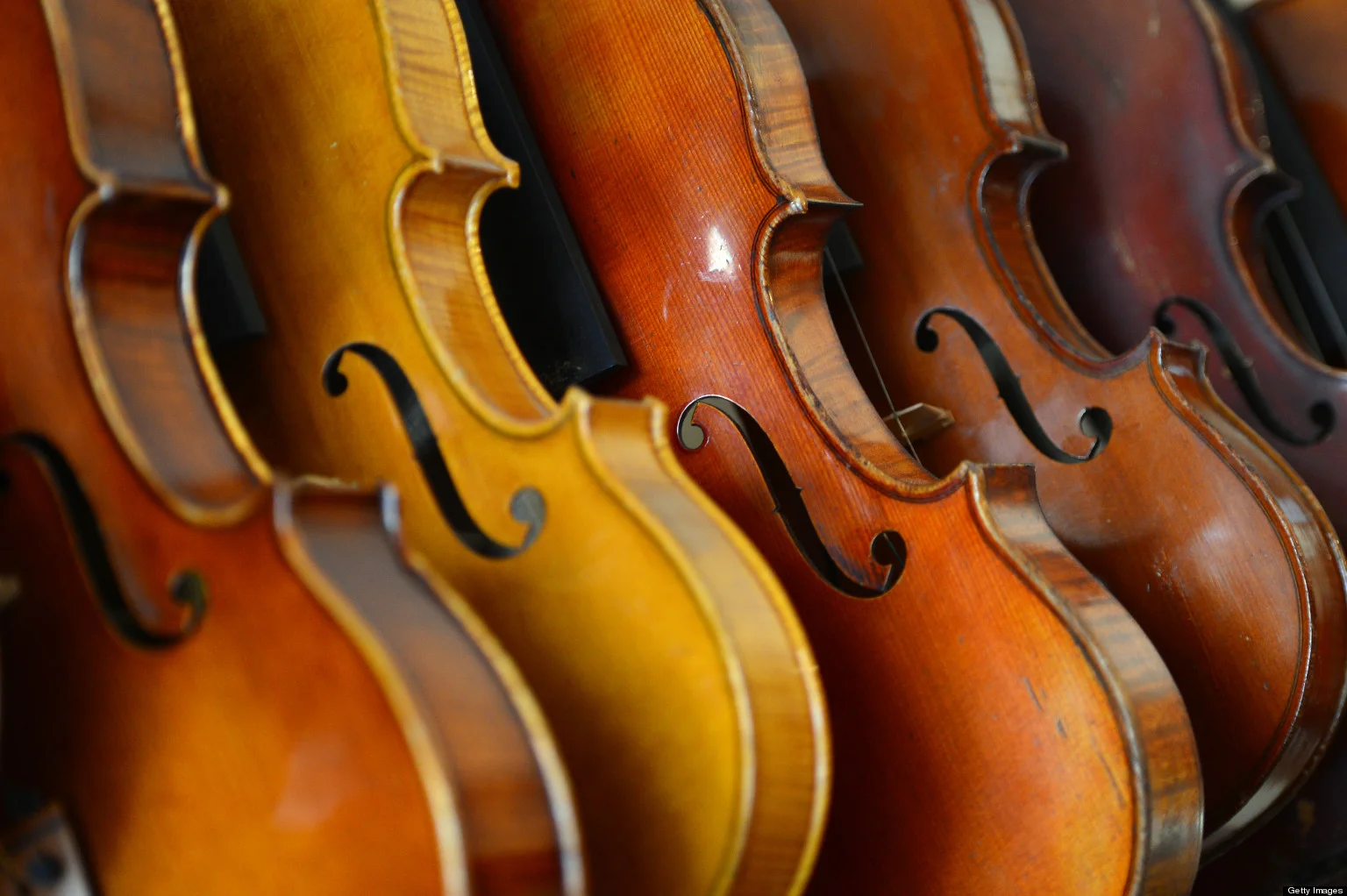 violins.jpg