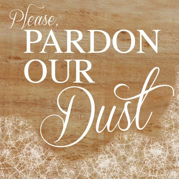 pardon-our-dust1-e1426939774816.jpg