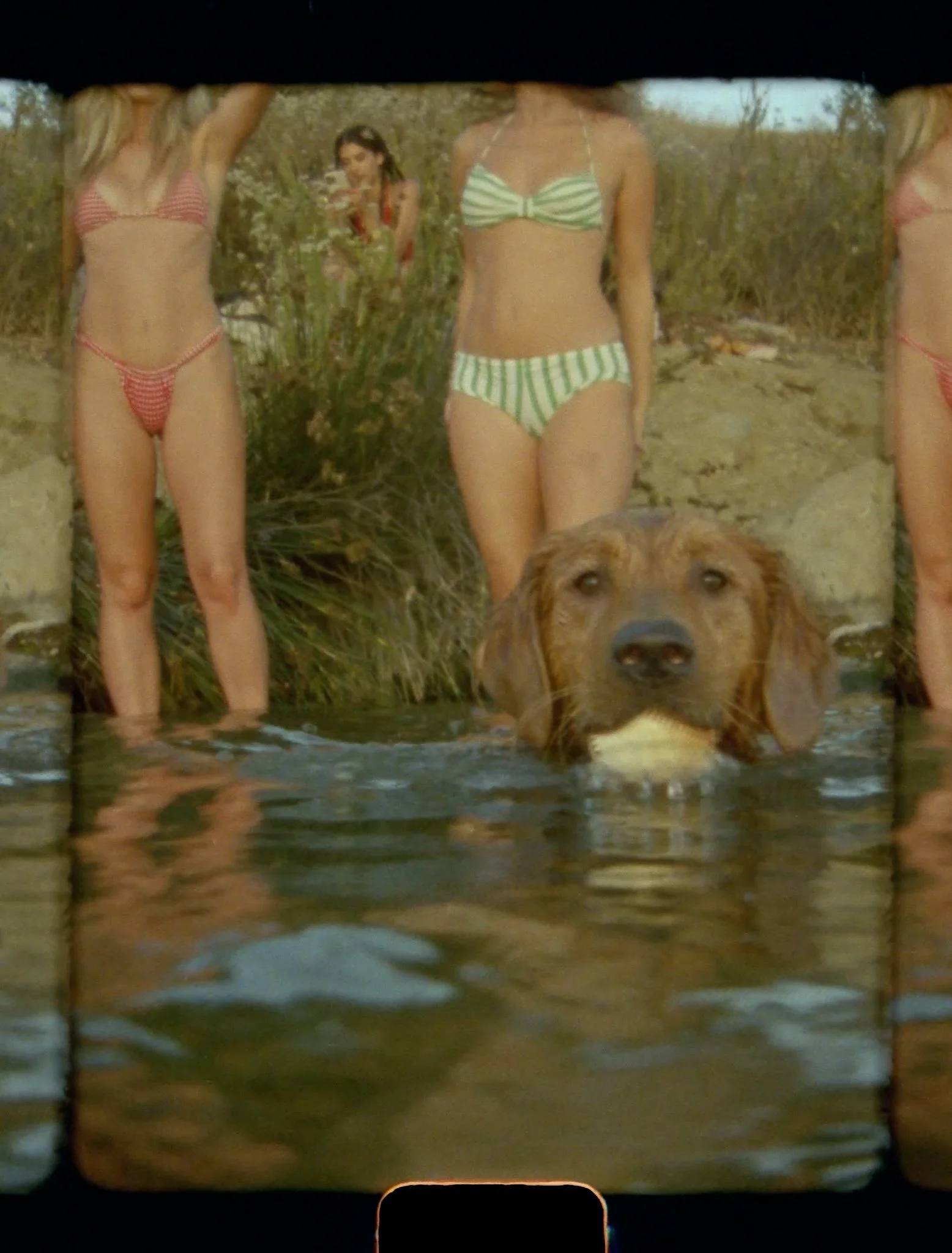 lake v2.00_00_34_06.Still007.JPG