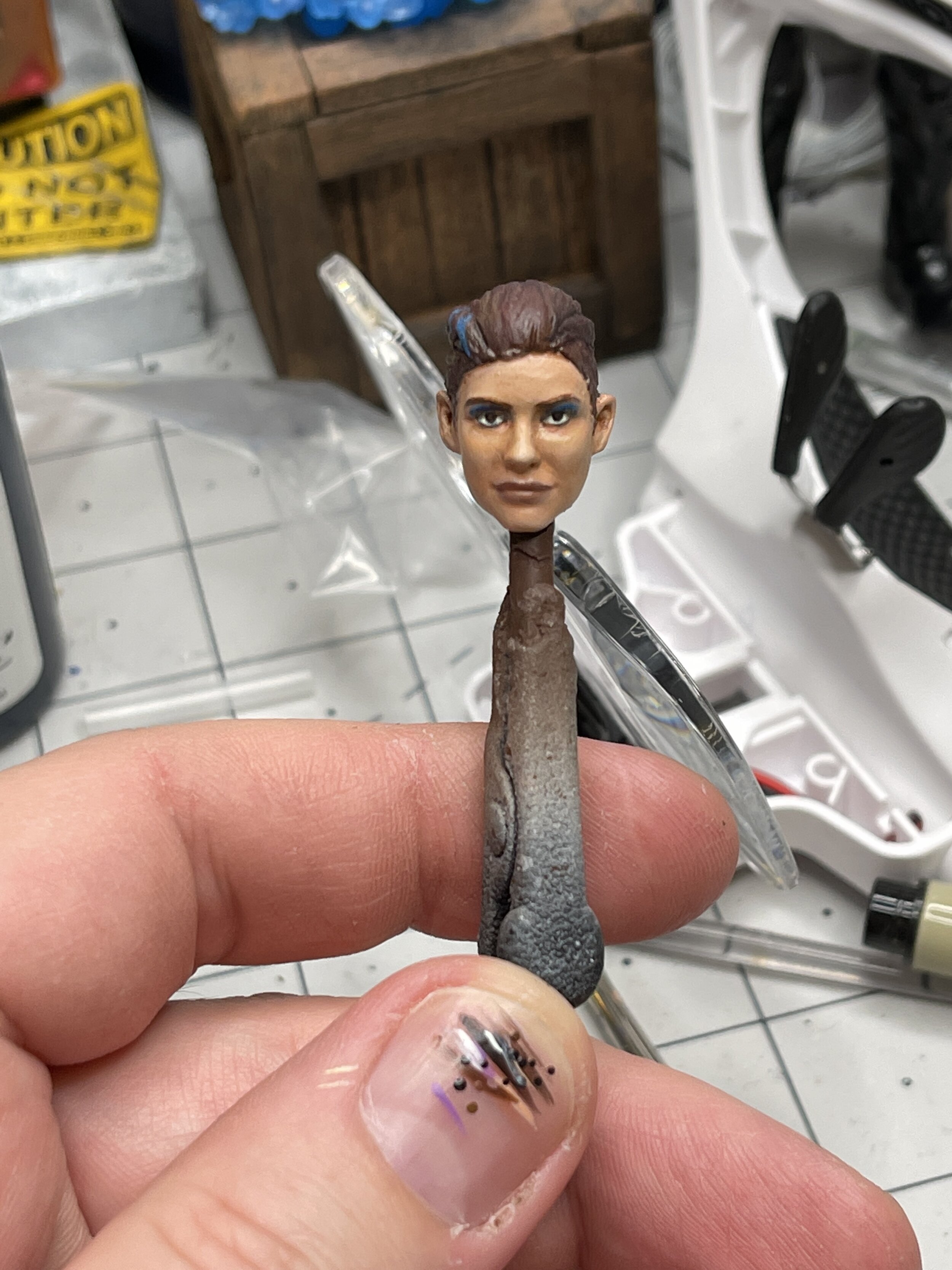 sentinel wip 25.JPG