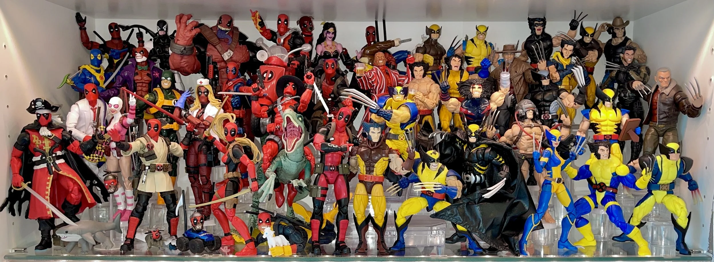 Deadpool/Wolverine shelf