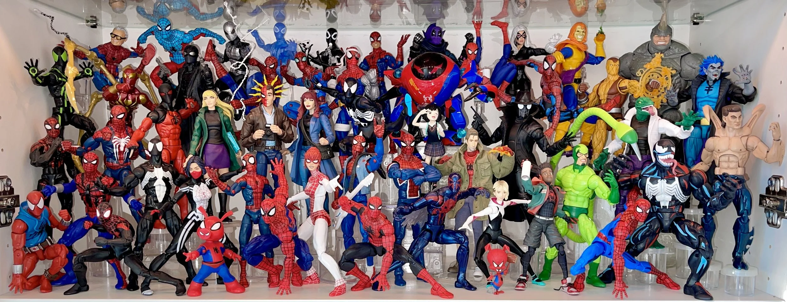 Spider Verse/Animated Spider Man shelf