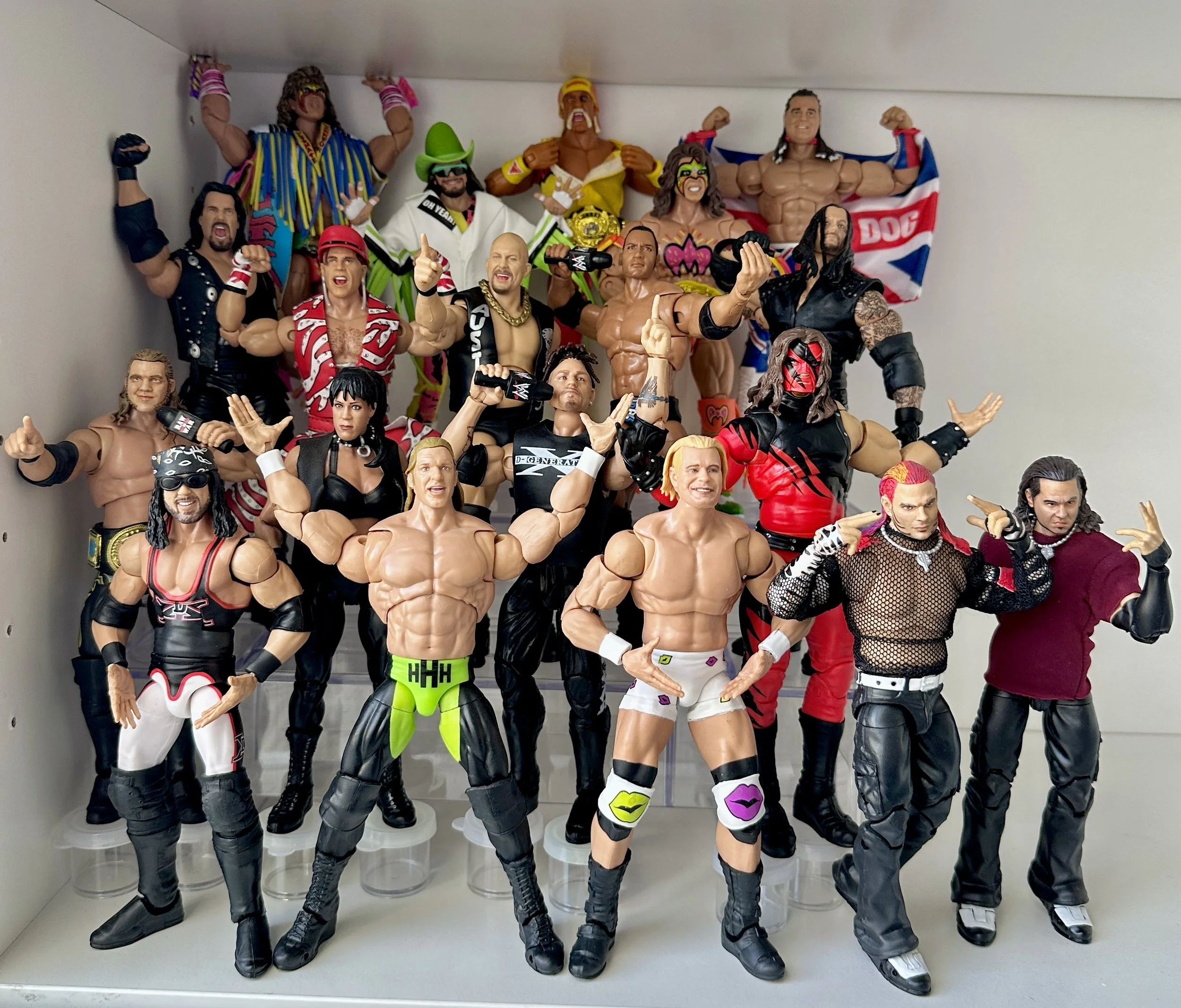 WWE shelf