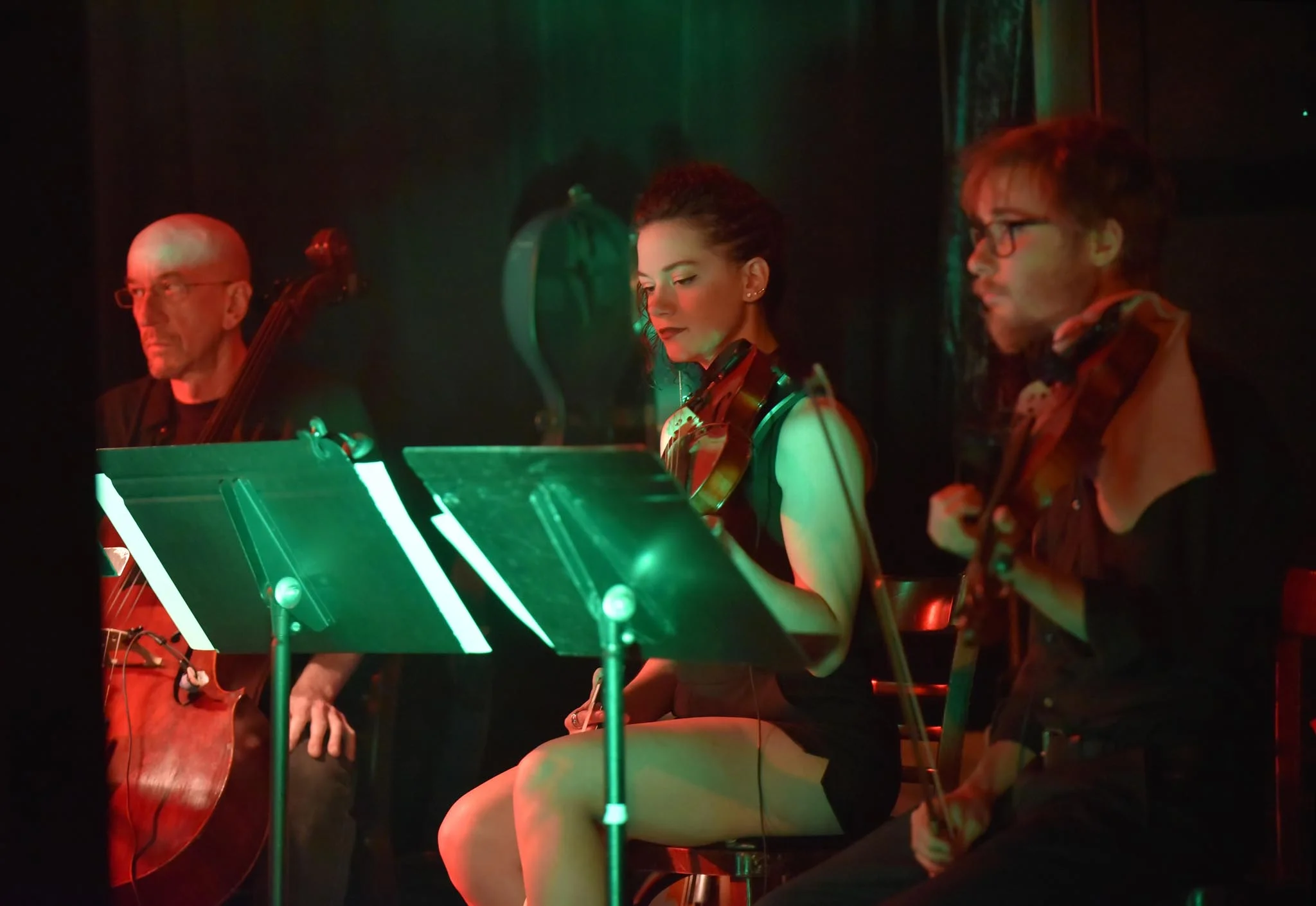 DSC_3813a_small(strings_seated).jpg