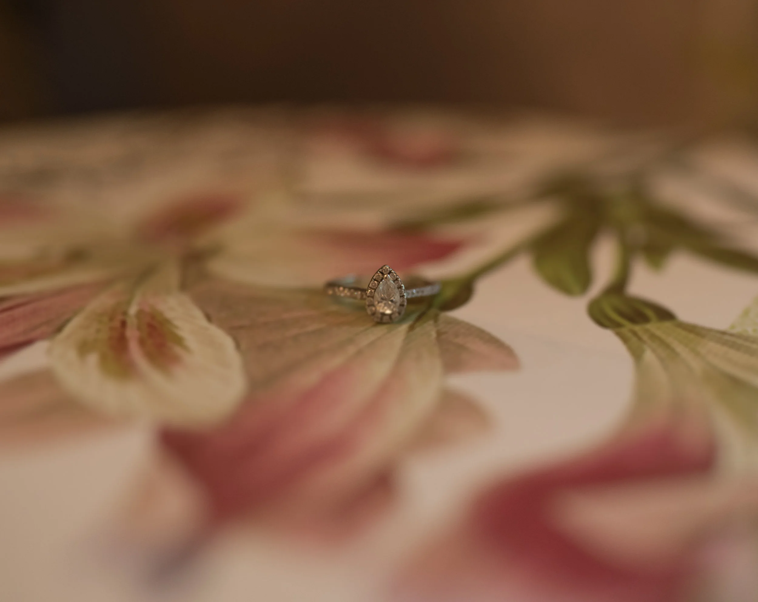 DSC_9795.jpg