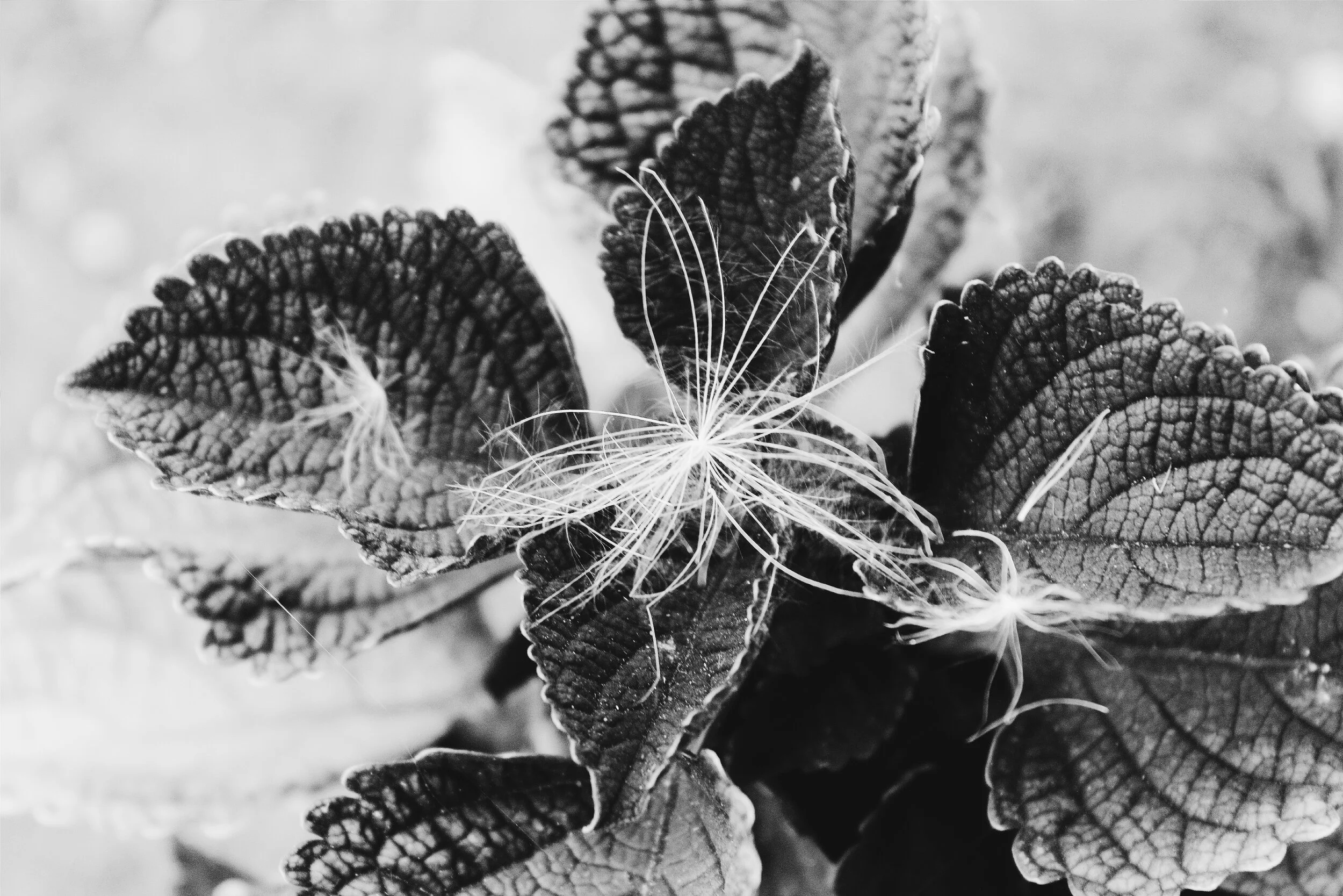 #Diaries of an almost 24-year-old: Introduction