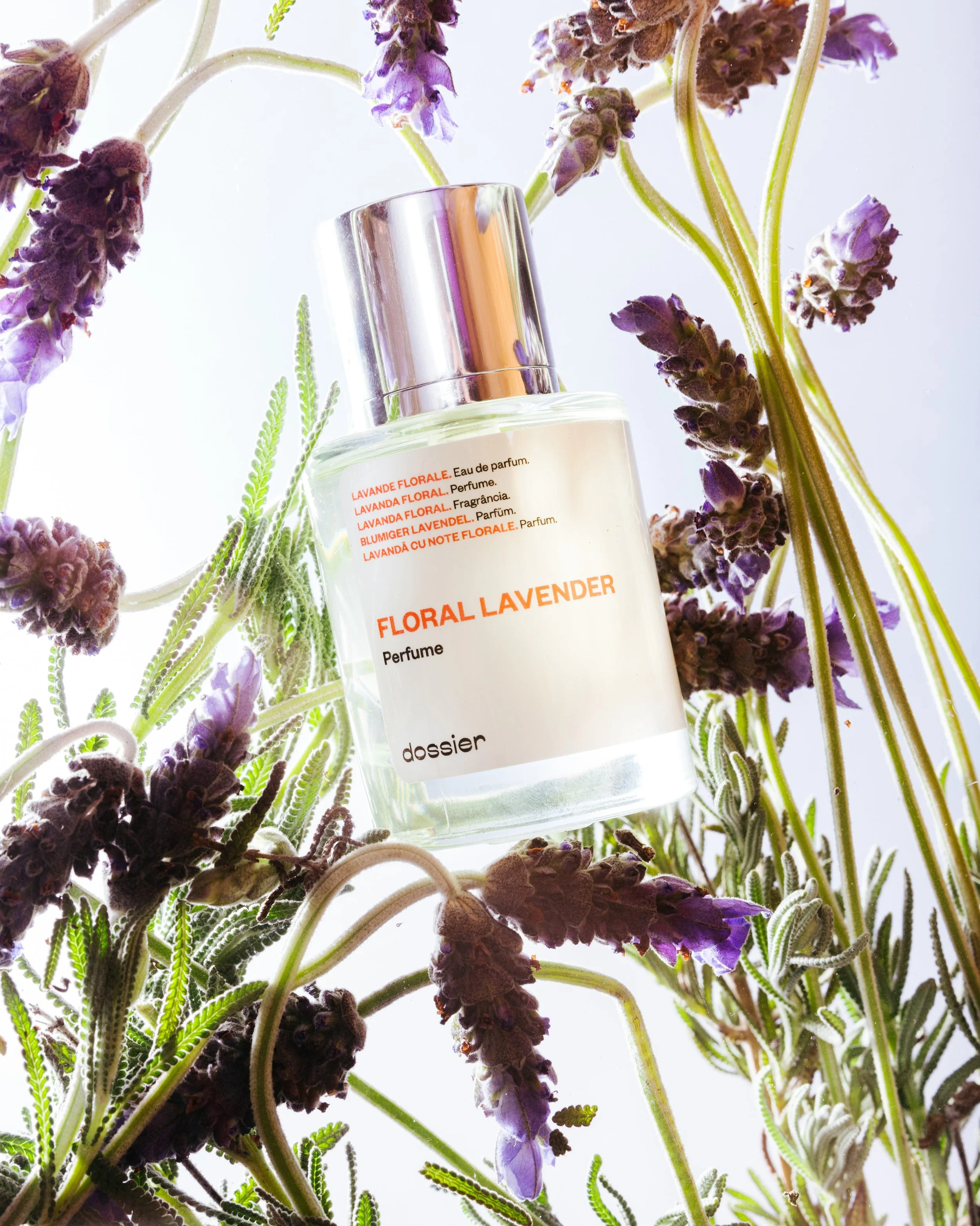 Studio Session-220 copy.jpg