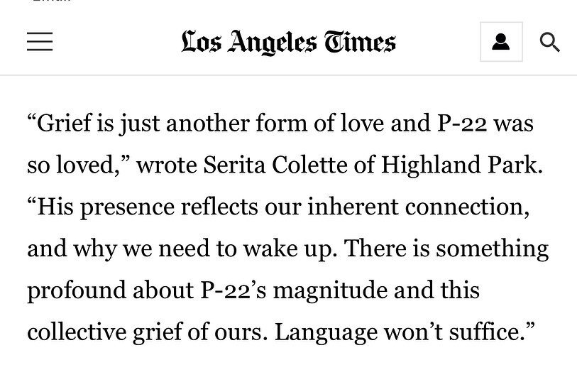 In the @latimes today discussing grief and love for a dear one. 

Grief eventually lands us in a place of seeing our humanity to love and be loved. 

Grateful to all the people I&rsquo;ve met in Los Angeles (4 years next month!) and the ways we conti