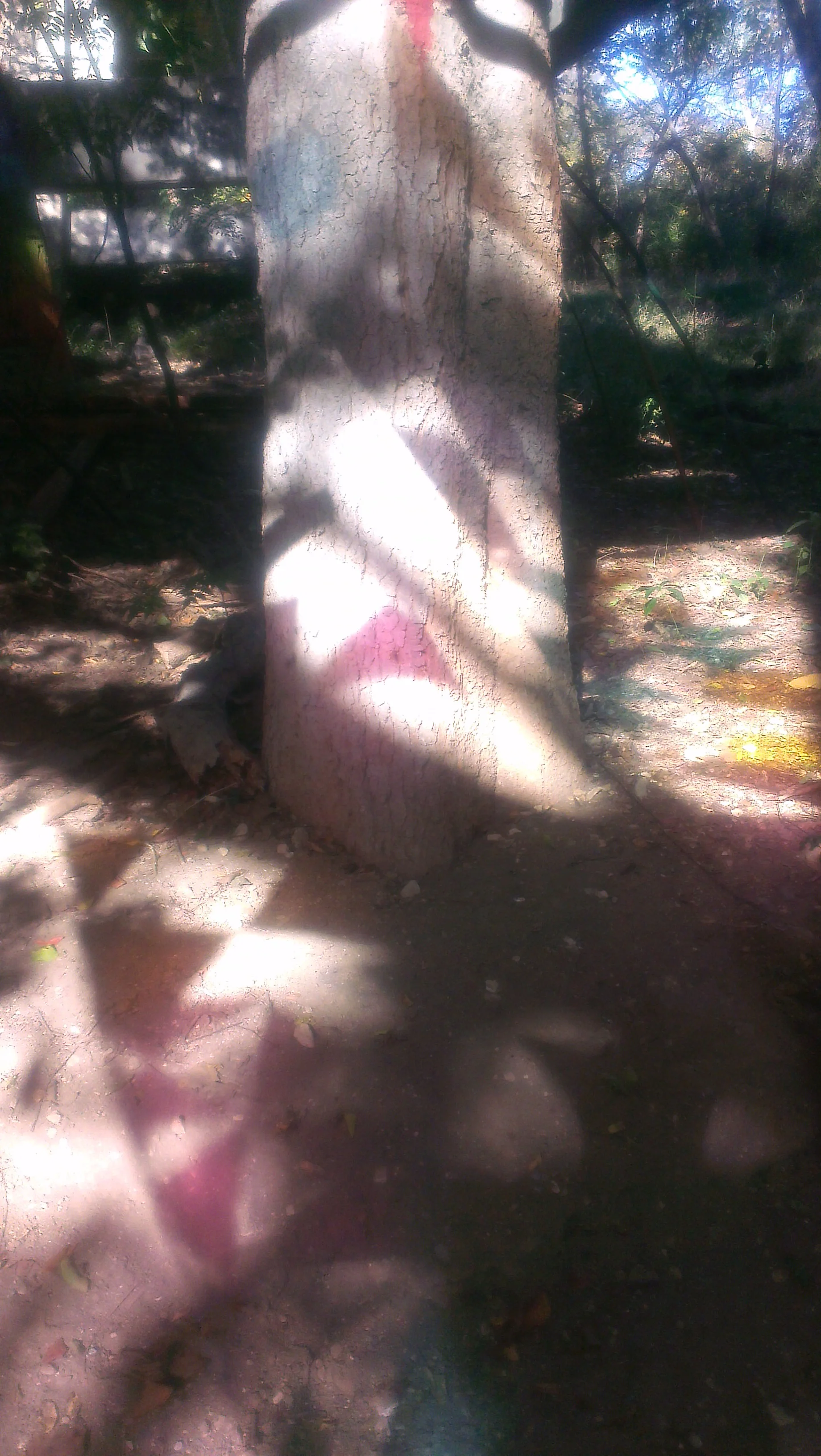IMAG0851.jpg
