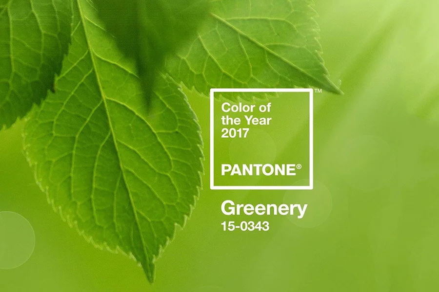 Pantone Color of the Year: Greenery