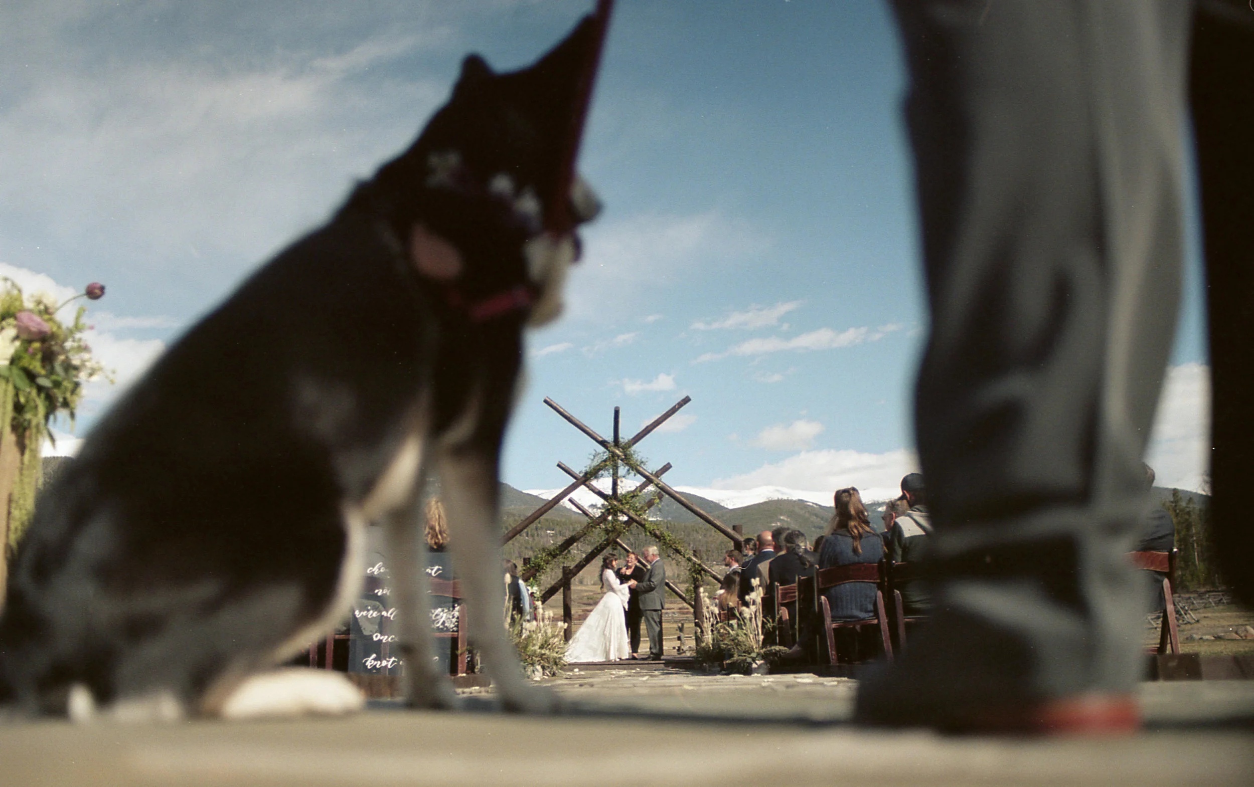 FilmCameraThree00188.jpg