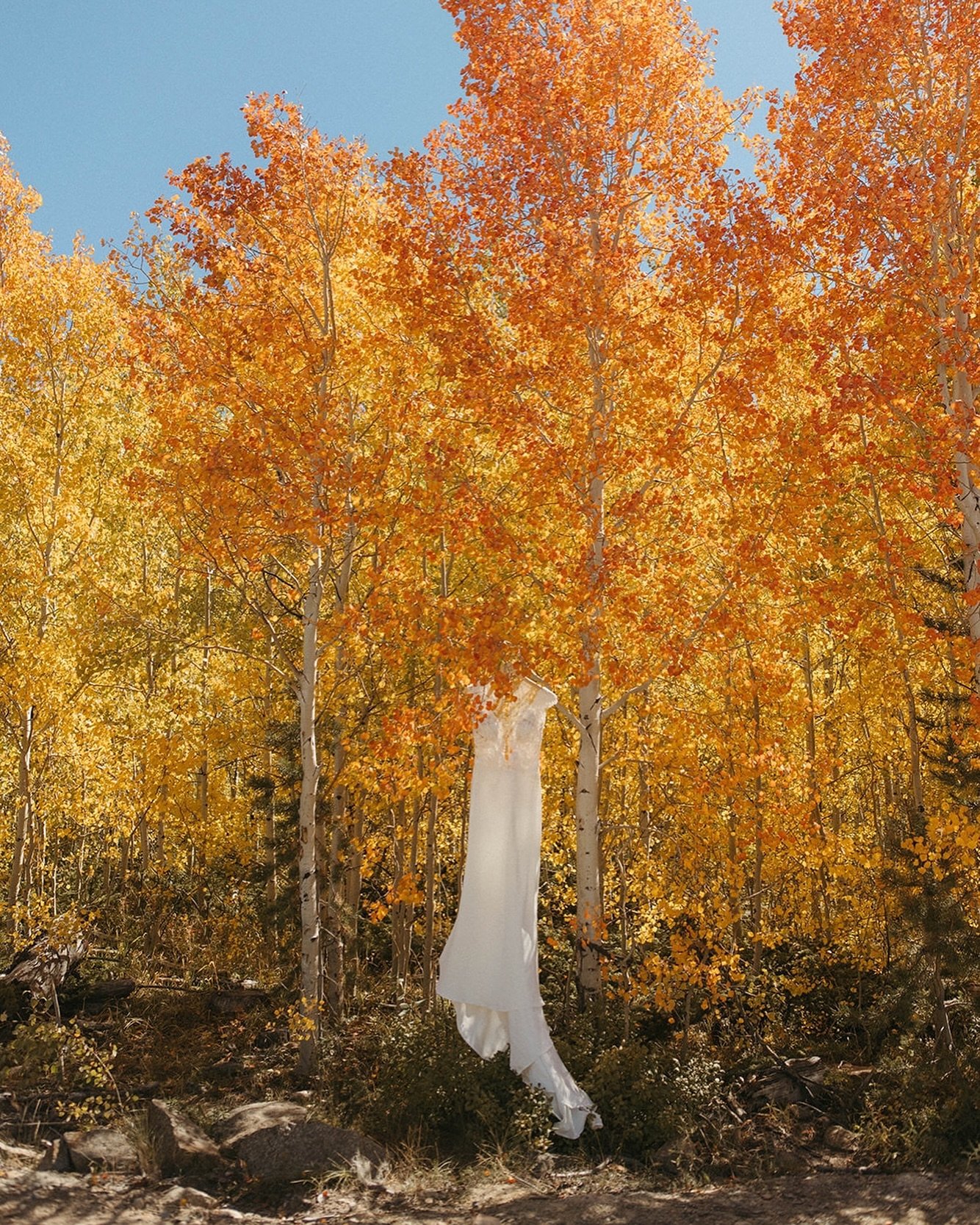 These fall colors will never get old. At Granby Ranch, all guests ride the chairlift to the top of the mountain for the ceremony. Once the lift got over the hill, there was an audible gasp as the guests saw the yellow, orange and red aspen grove for 