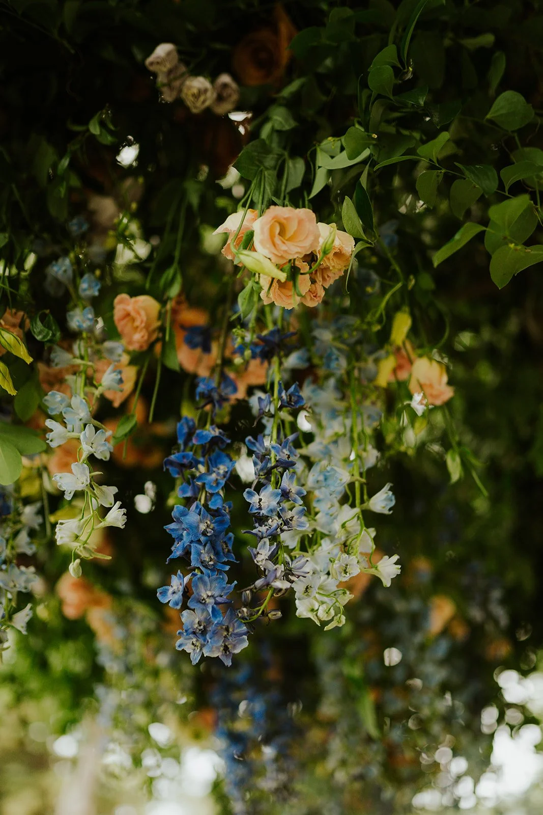 OCK01231.jpg